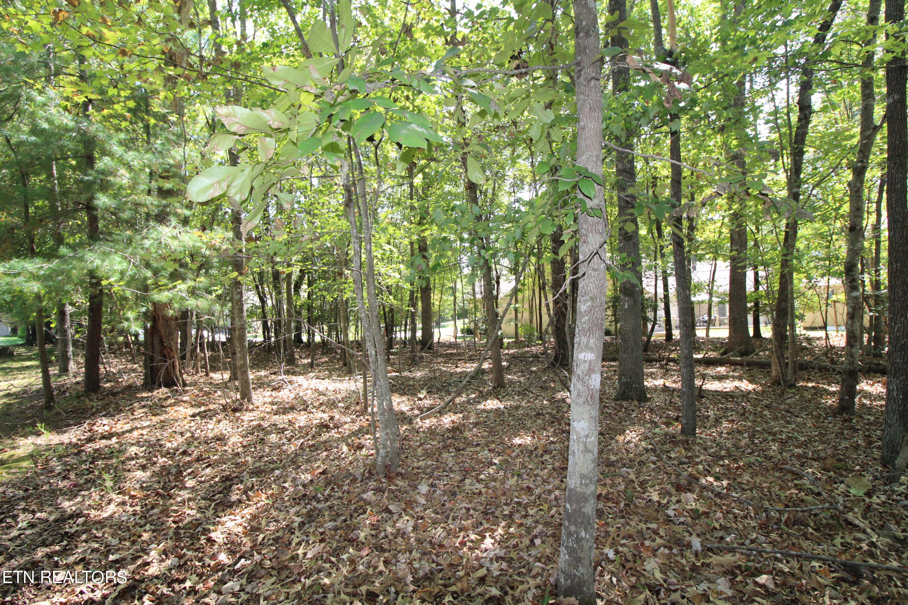 105 Wilbourn Drive Property Photo 10
