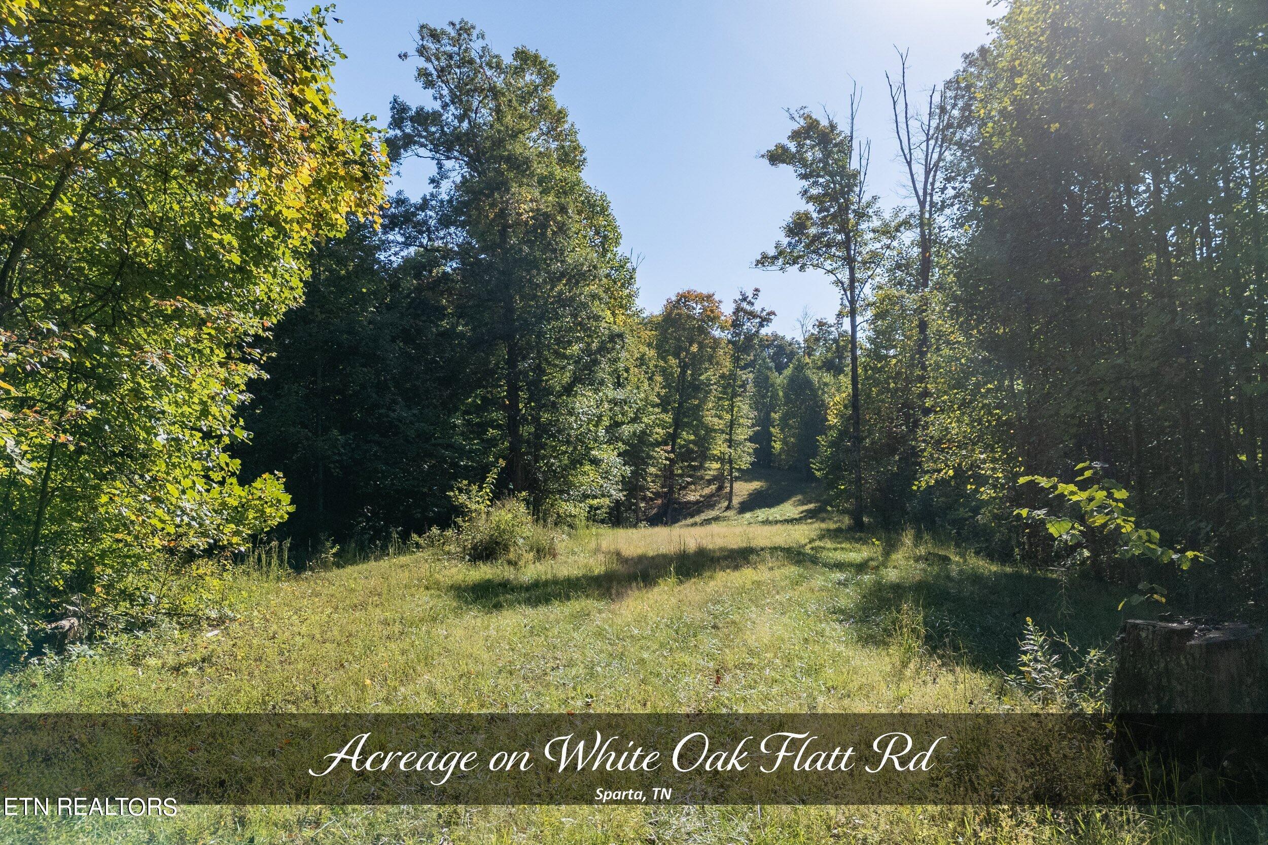8111 White Oak Flatt Rd Property Photo