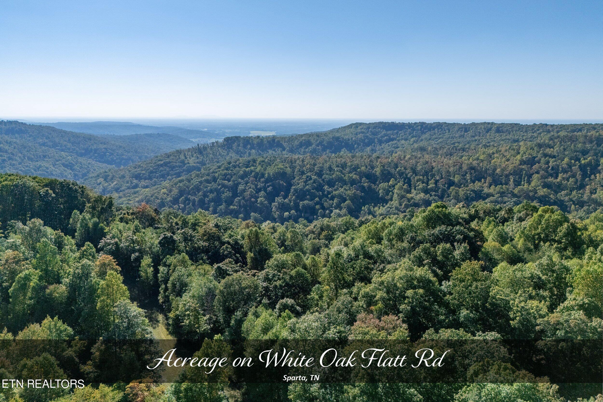 8111 White Oak Flatt Rd Property Photo 2