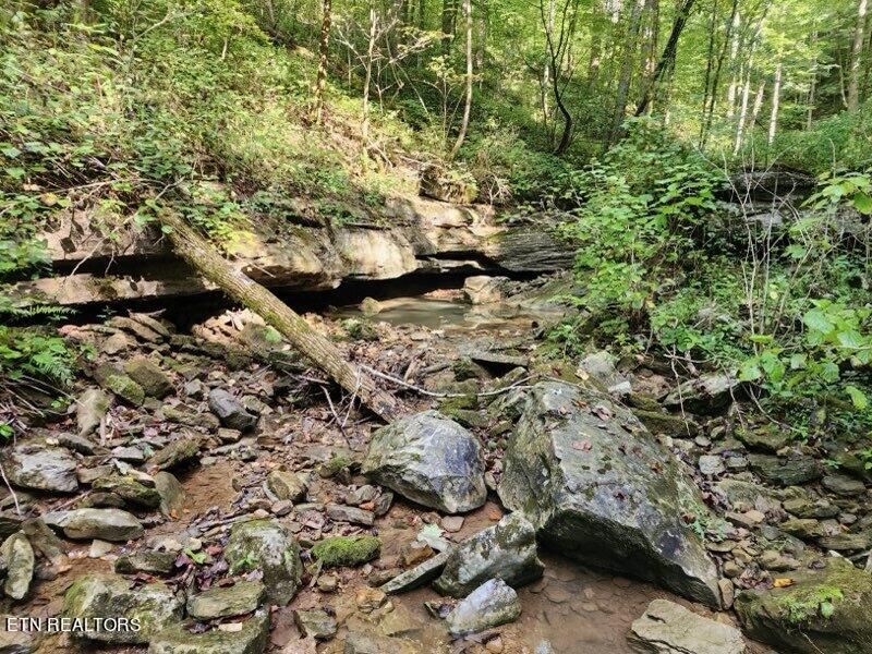 8111 White Oak Flatt Rd Property Photo 3