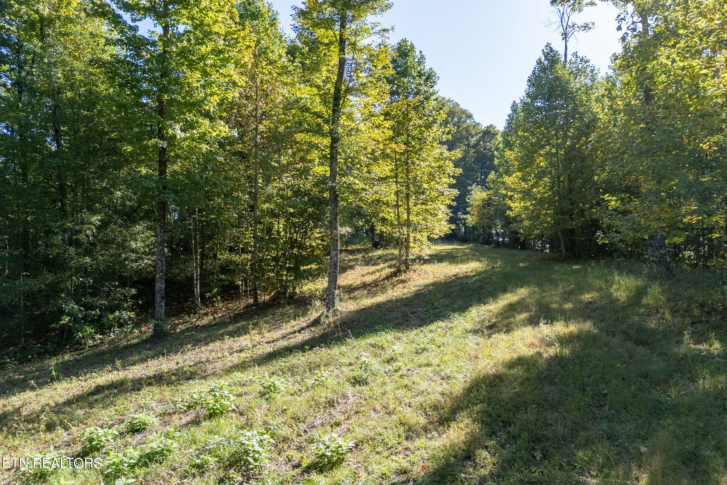 8111 White Oak Flatt Rd Property Photo 6