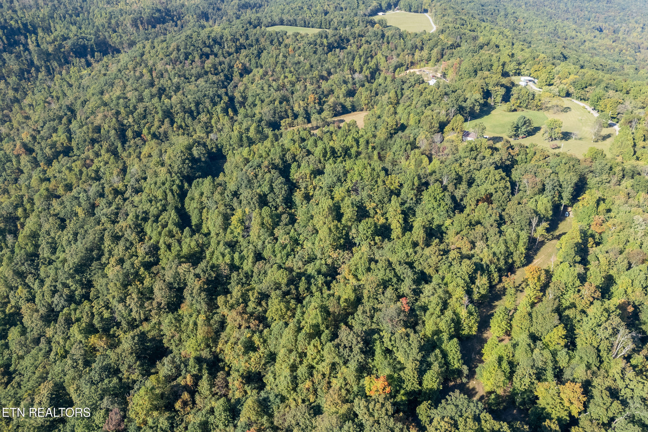 8111 White Oak Flatt Rd Property Photo 8