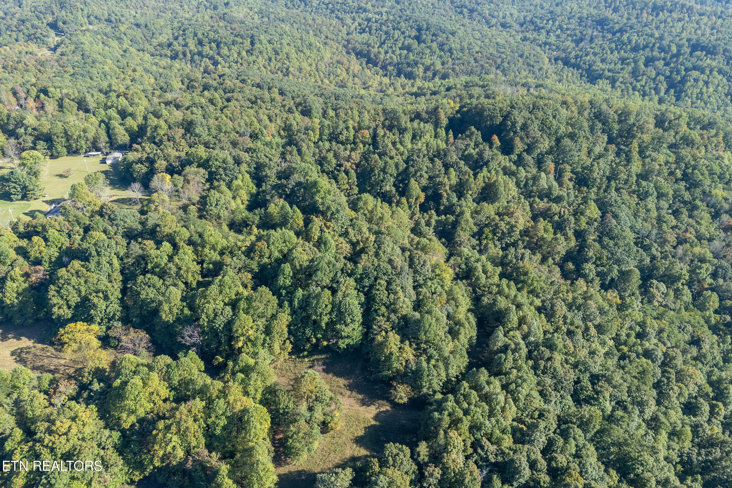 8111 White Oak Flatt Rd Property Photo 11