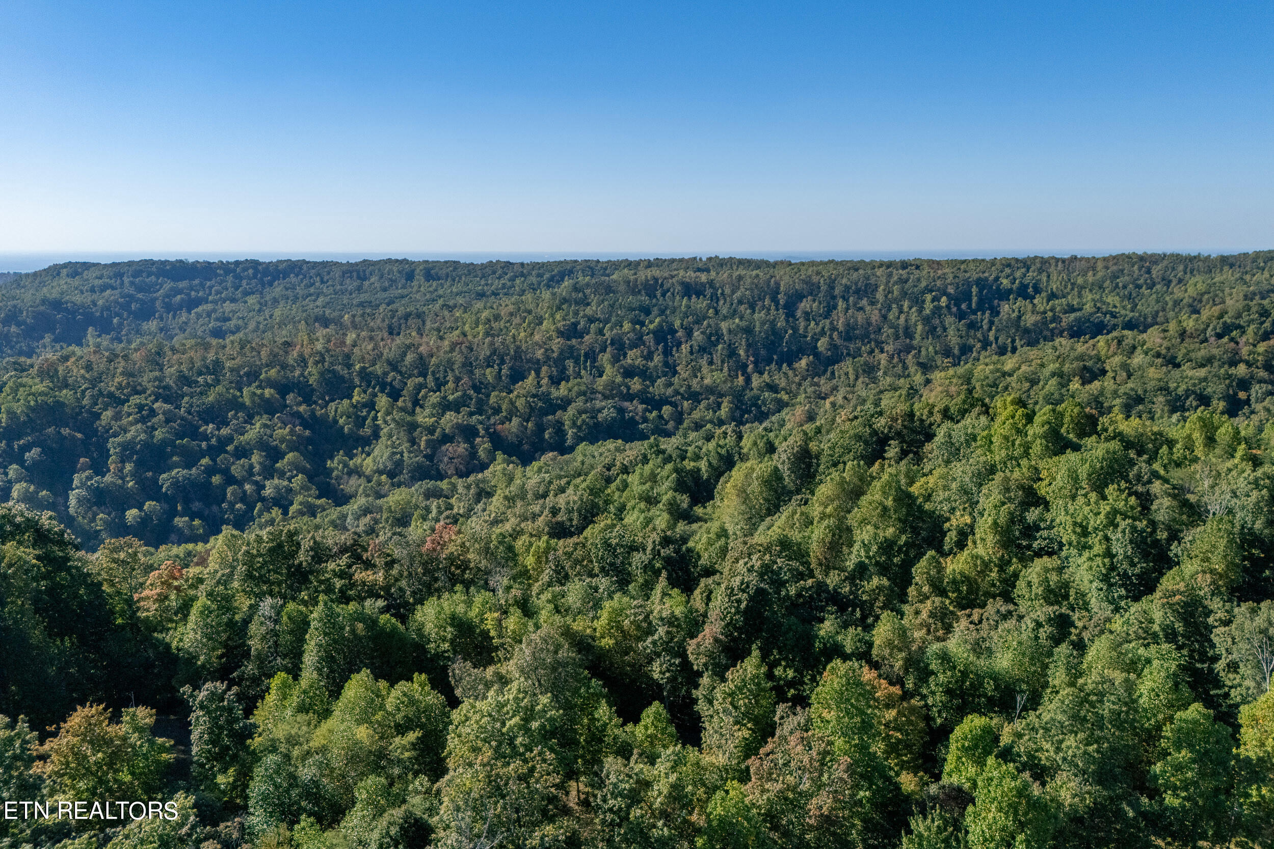 8111 White Oak Flatt Rd Property Photo 15