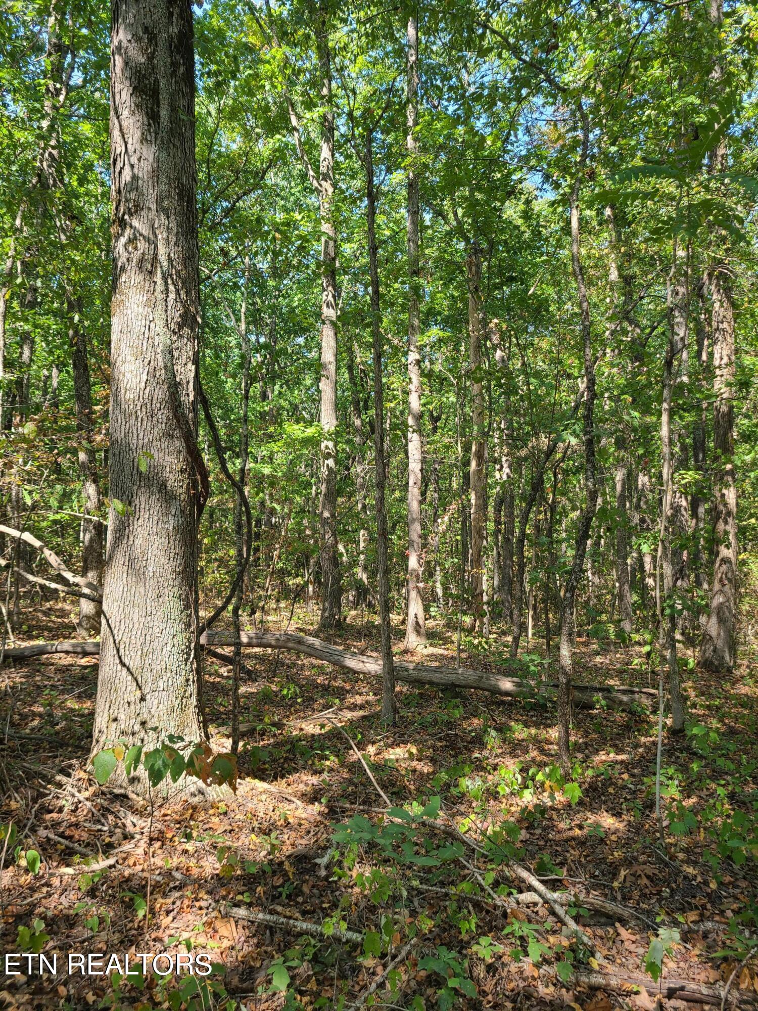 Lot 3 Westwind Way Property Photo 1