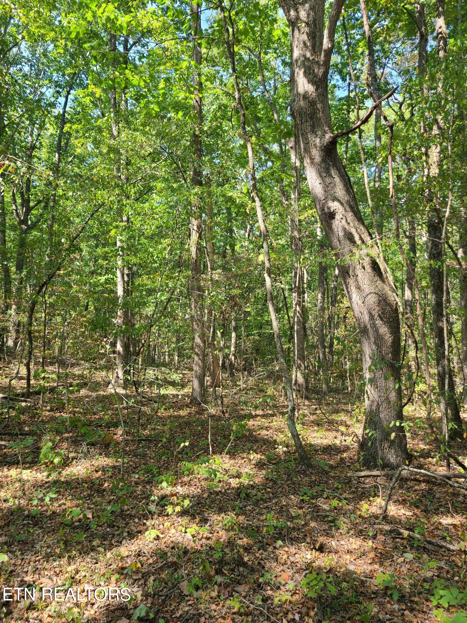 Lot 3 Westwind Way Property Photo 4