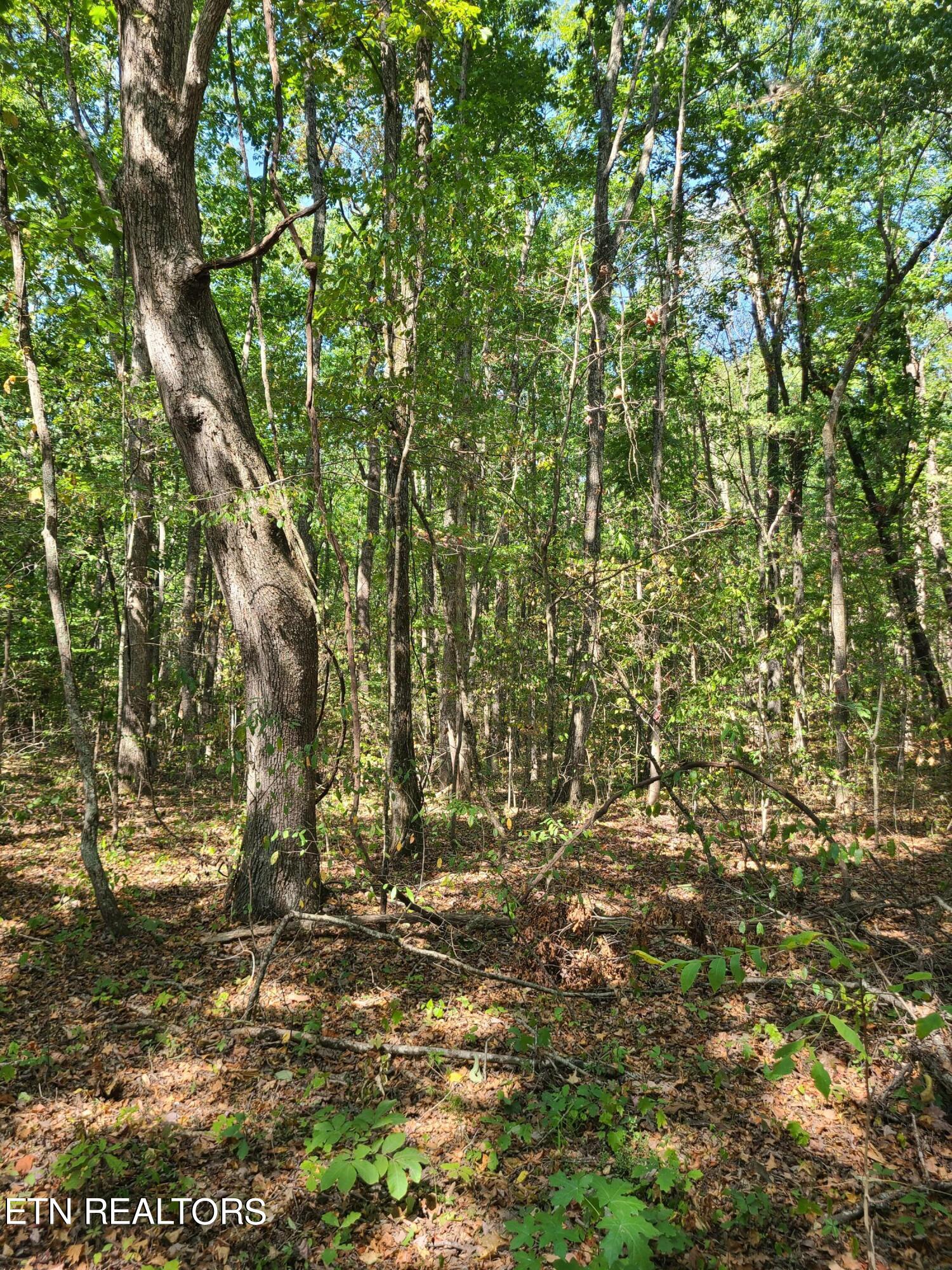 Lot 3 Westwind Way Property Photo 5