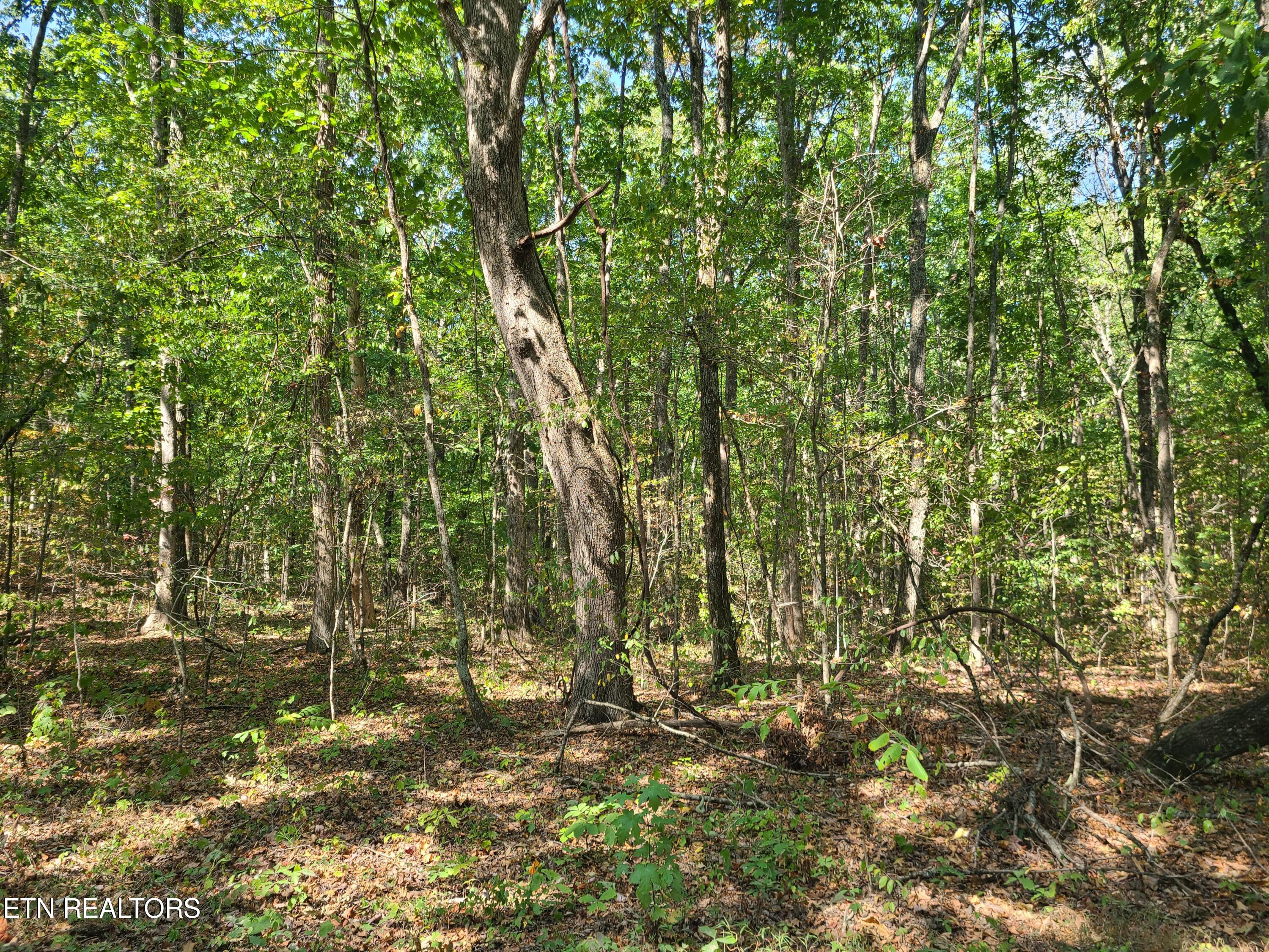 Lot 3 Westwind Way Property Photo 6
