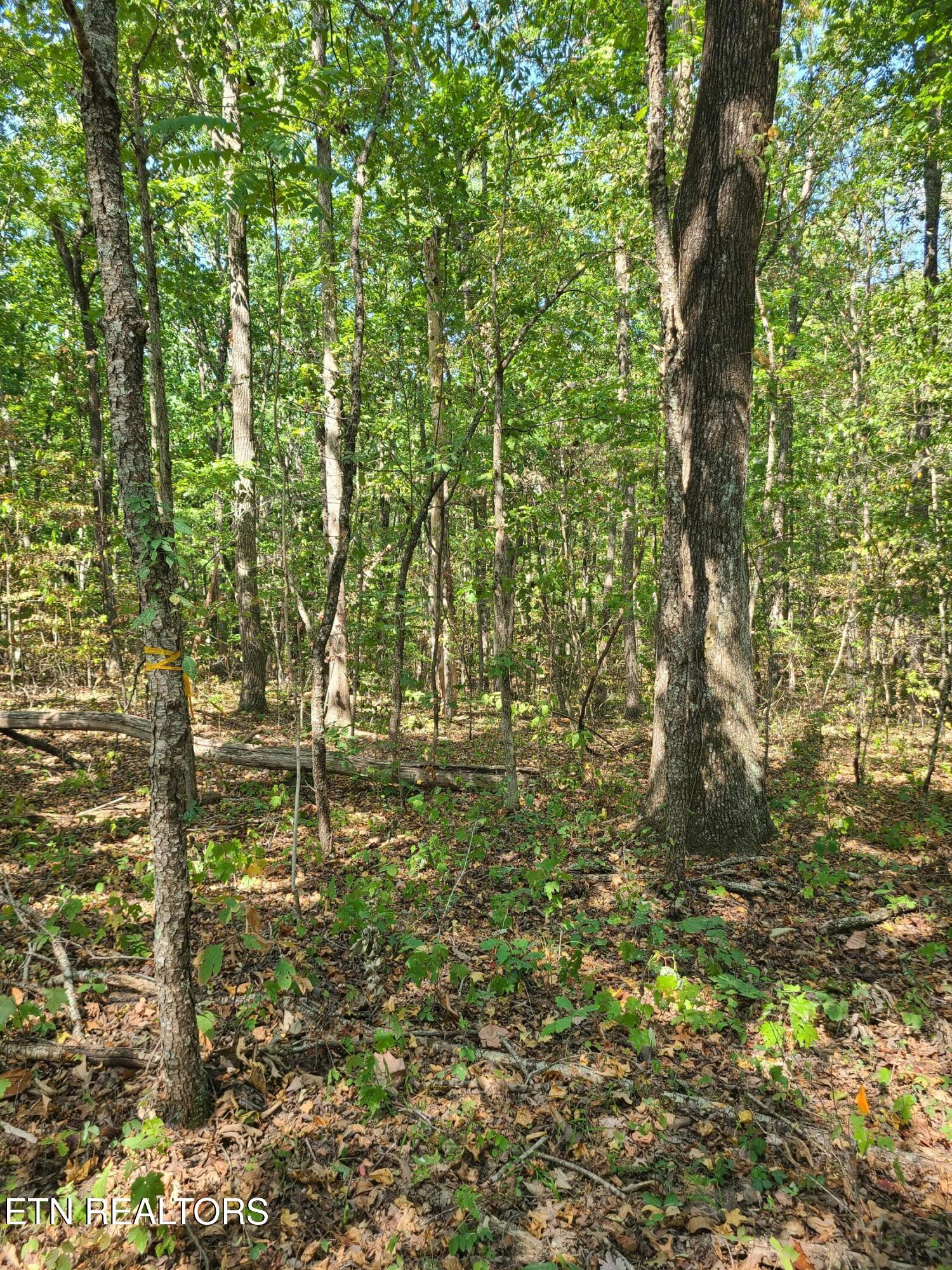 Lot 3 Westwind Way Property Photo 7