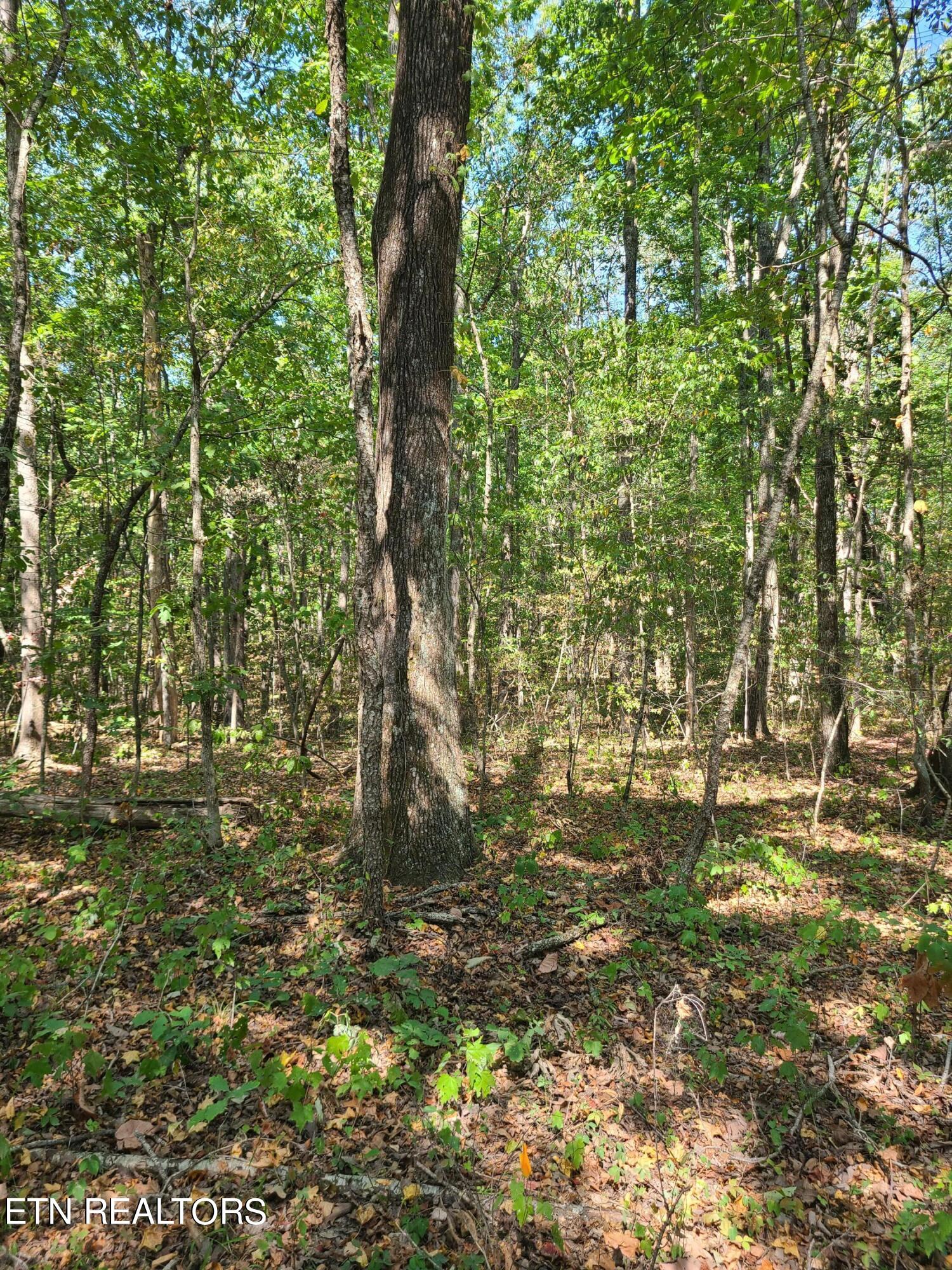 Lot 3 Westwind Way Property Photo 8