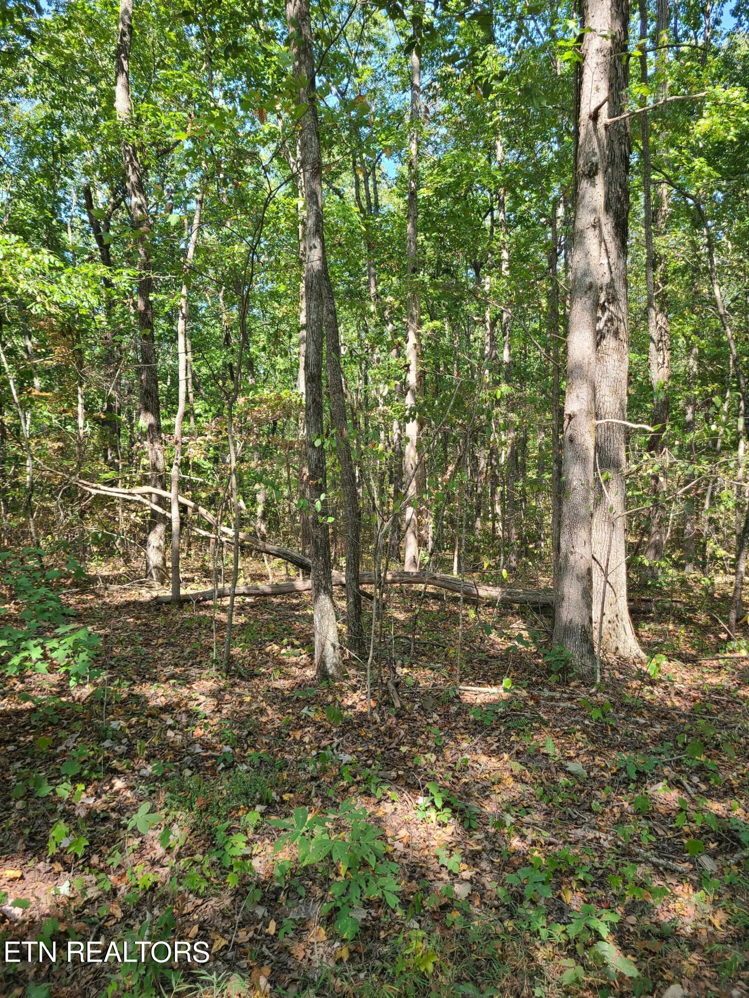 Lot 3 Westwind Way Property Photo 9