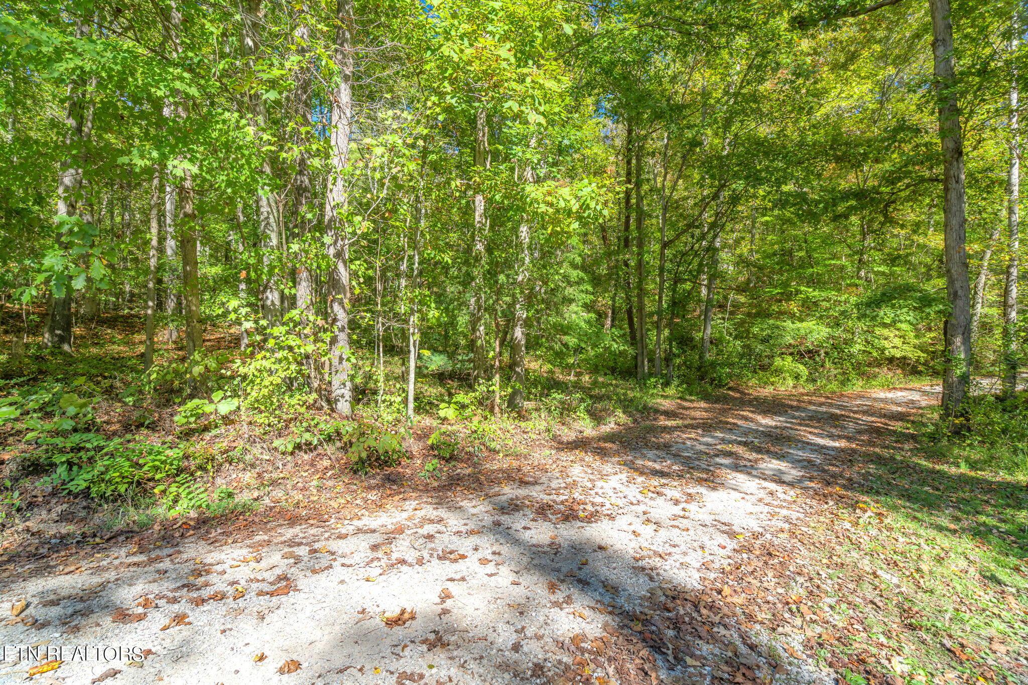 Tunnel Hill Rd Property Photo 3