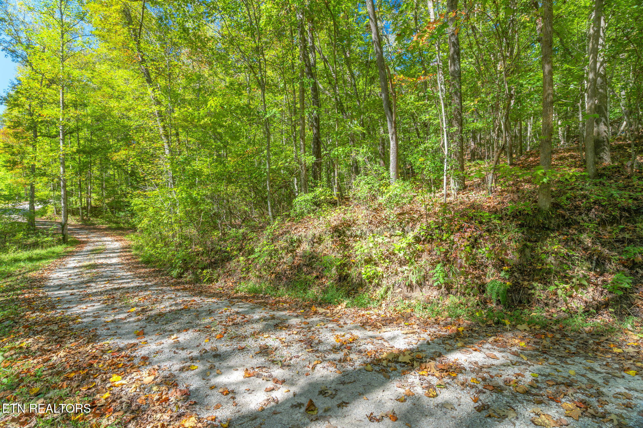 Tunnel Hill Rd Property Photo 8