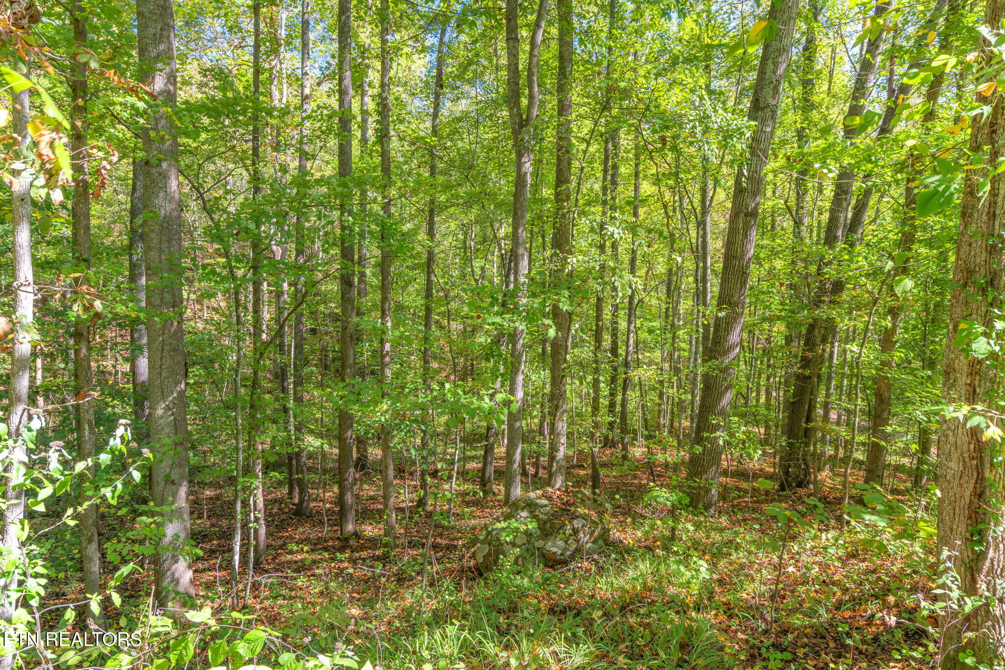 Tunnel Hill Rd Property Photo 10