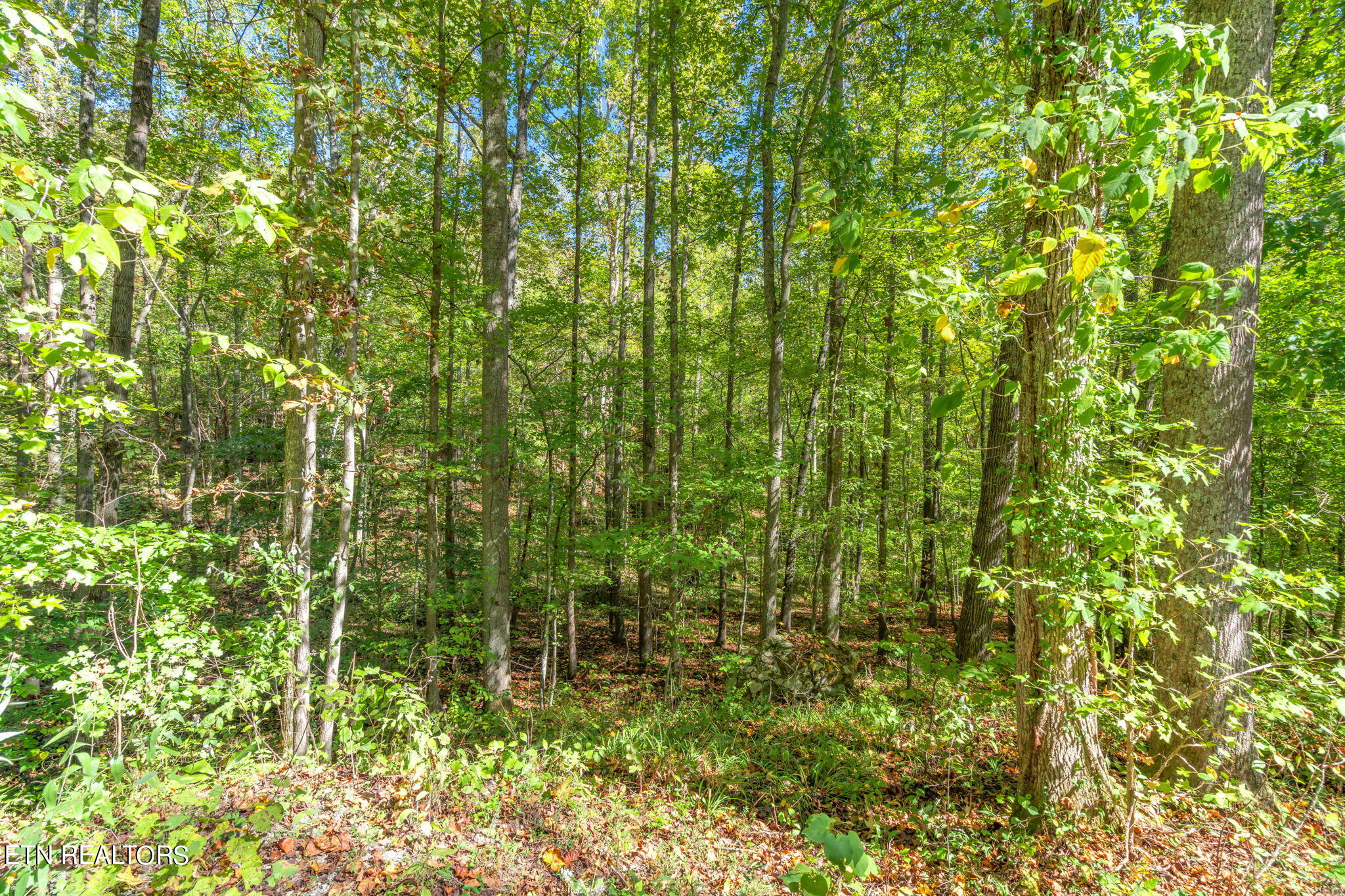 Tunnel Hill Rd Property Photo 11