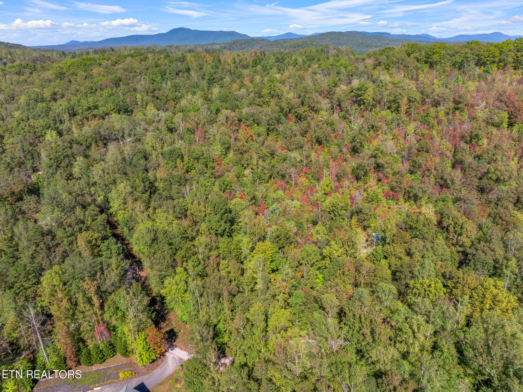 Tunnel Hill Rd Property Photo 18