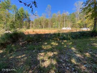 5907 Aj Osborne Hwy Property Photo 6