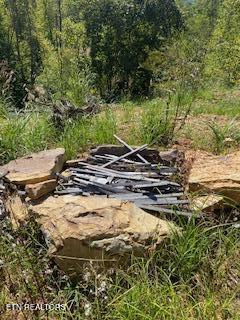 5907 Aj Osborne Hwy Property Photo 7