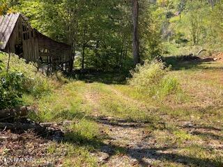 5907 Aj Osborne Hwy Property Photo 12