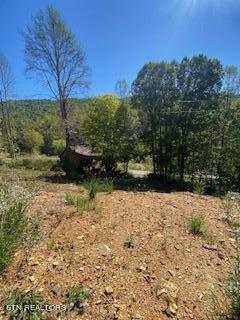 5907 Aj Osborne Hwy Property Photo 13