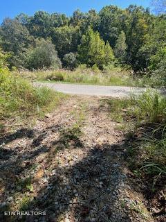 5907 Aj Osborne Hwy Property Photo 16