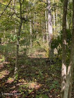 5907 Aj Osborne Hwy Property Photo 19