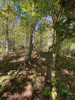 5907 Aj Osborne Hwy Property Photo 20