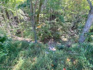 5907 Aj Osborne Hwy Property Photo 21