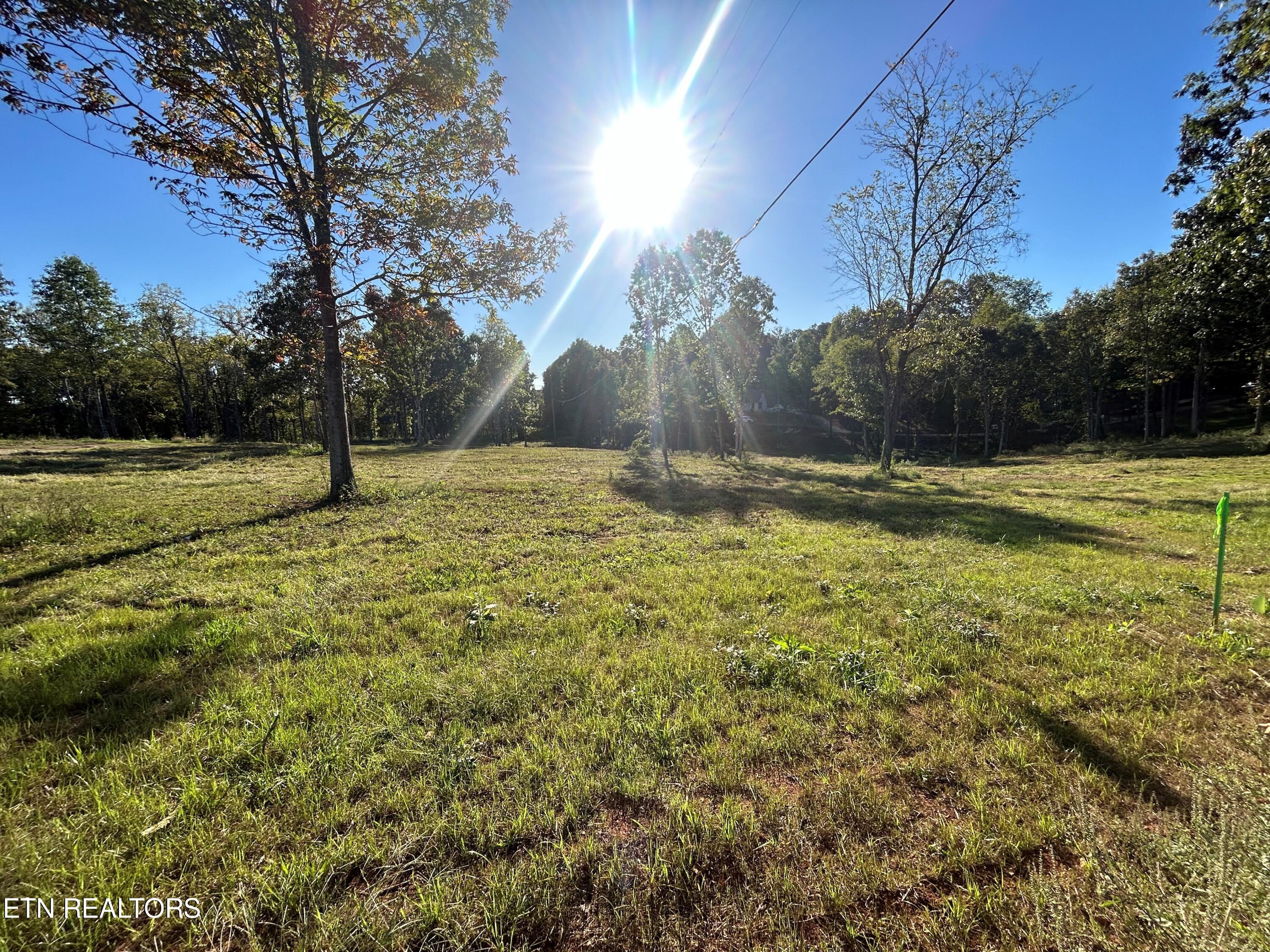 114 Campbell Way Property Photo 1