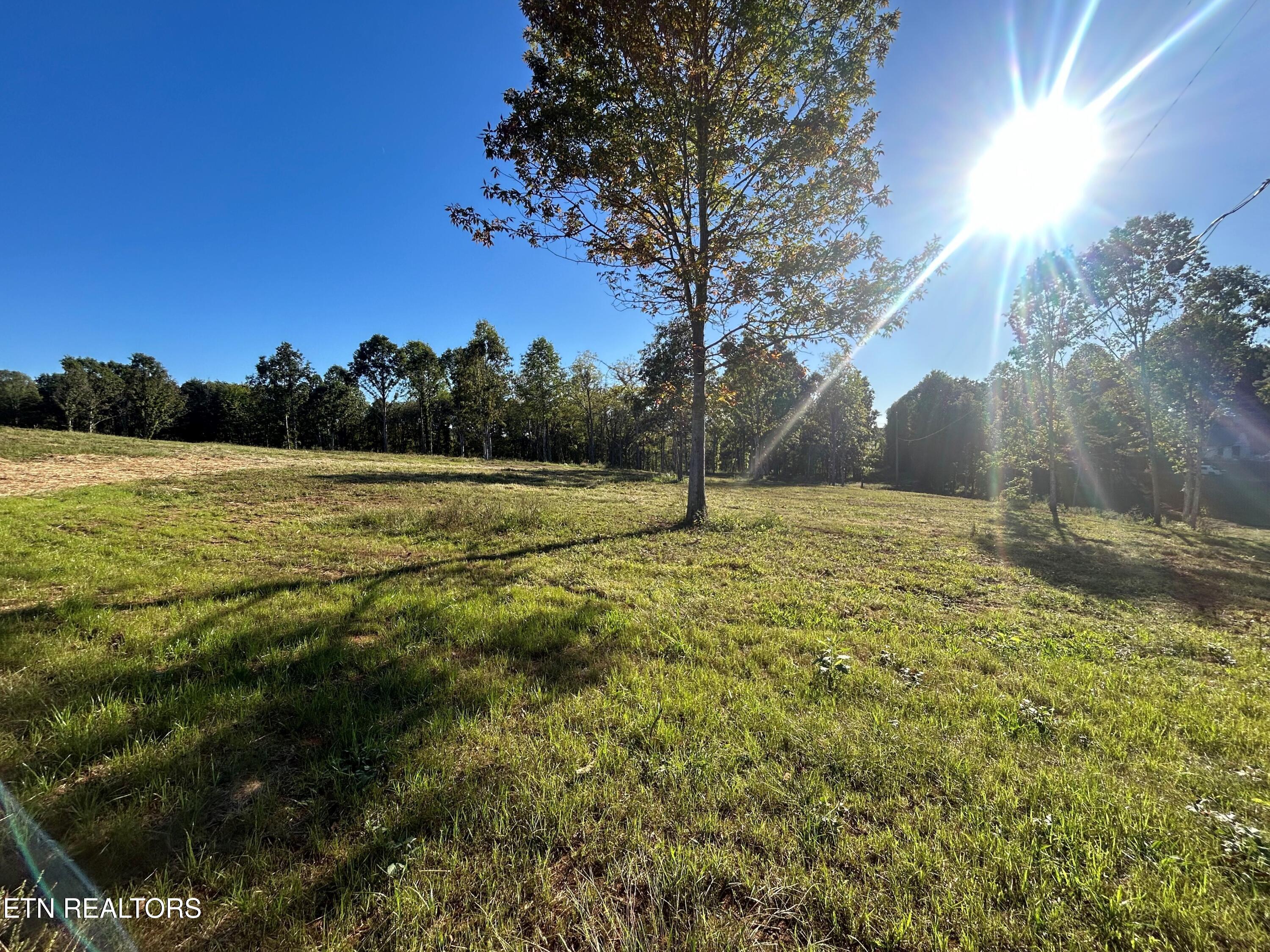 114 Campbell Way Property Photo 2