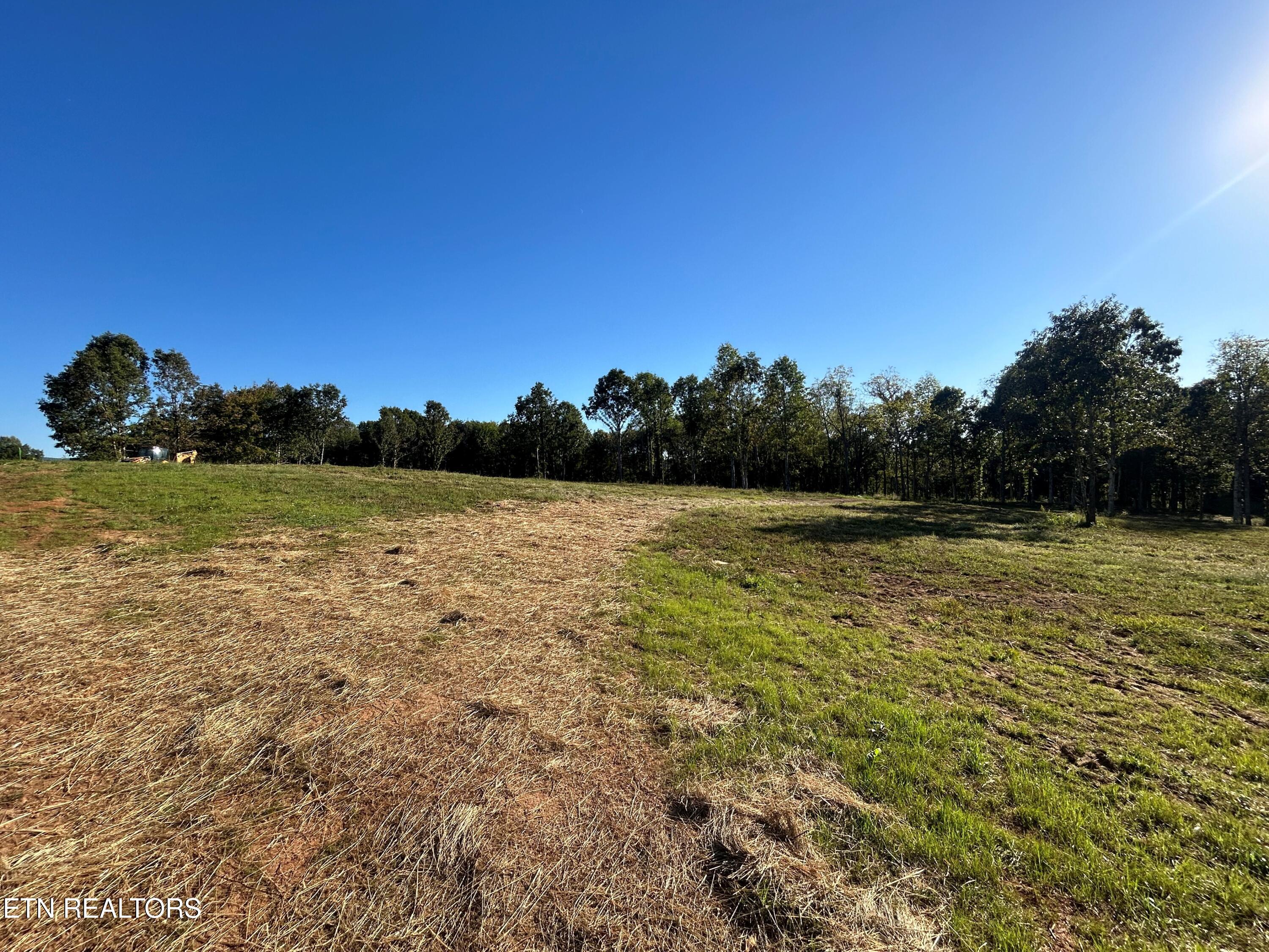 118 Campbell Way Property Photo 2