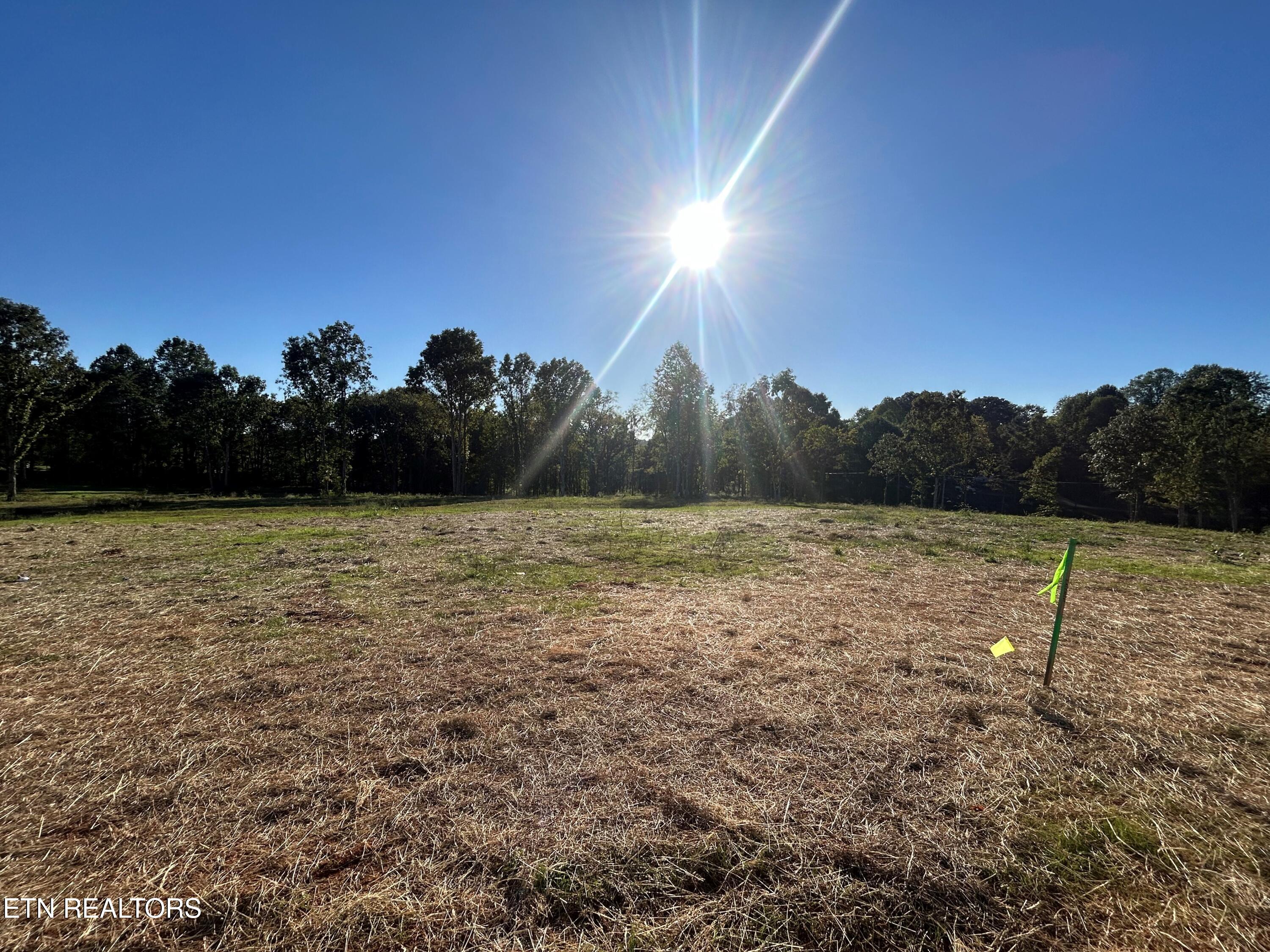 118 Campbell Way Property Photo 3