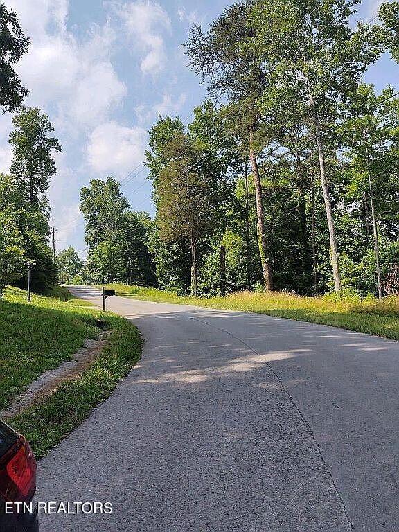0 Hickory Pointe Lane Property Photo 2