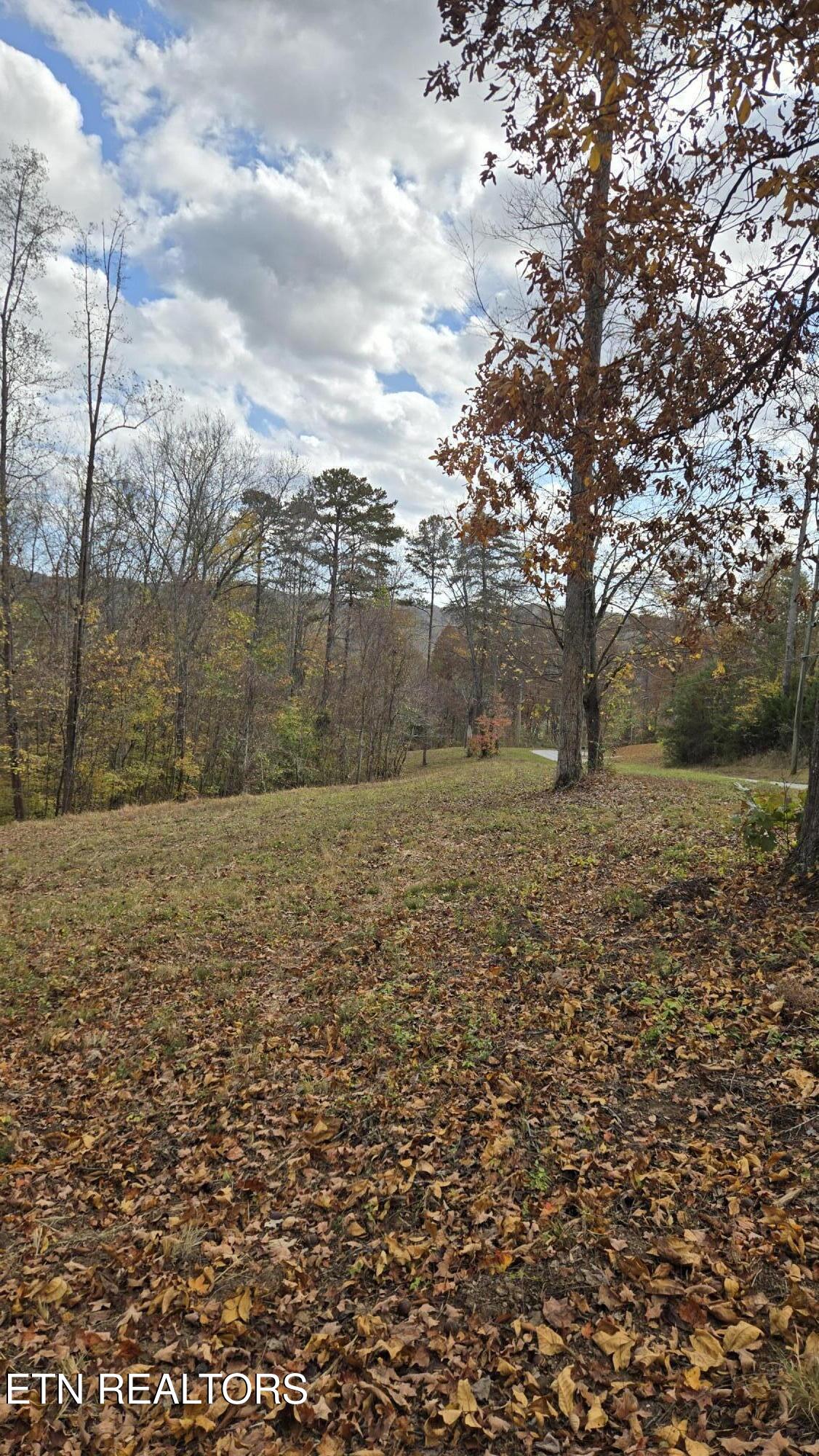 0 Hickory Pointe Lane Property Photo 3