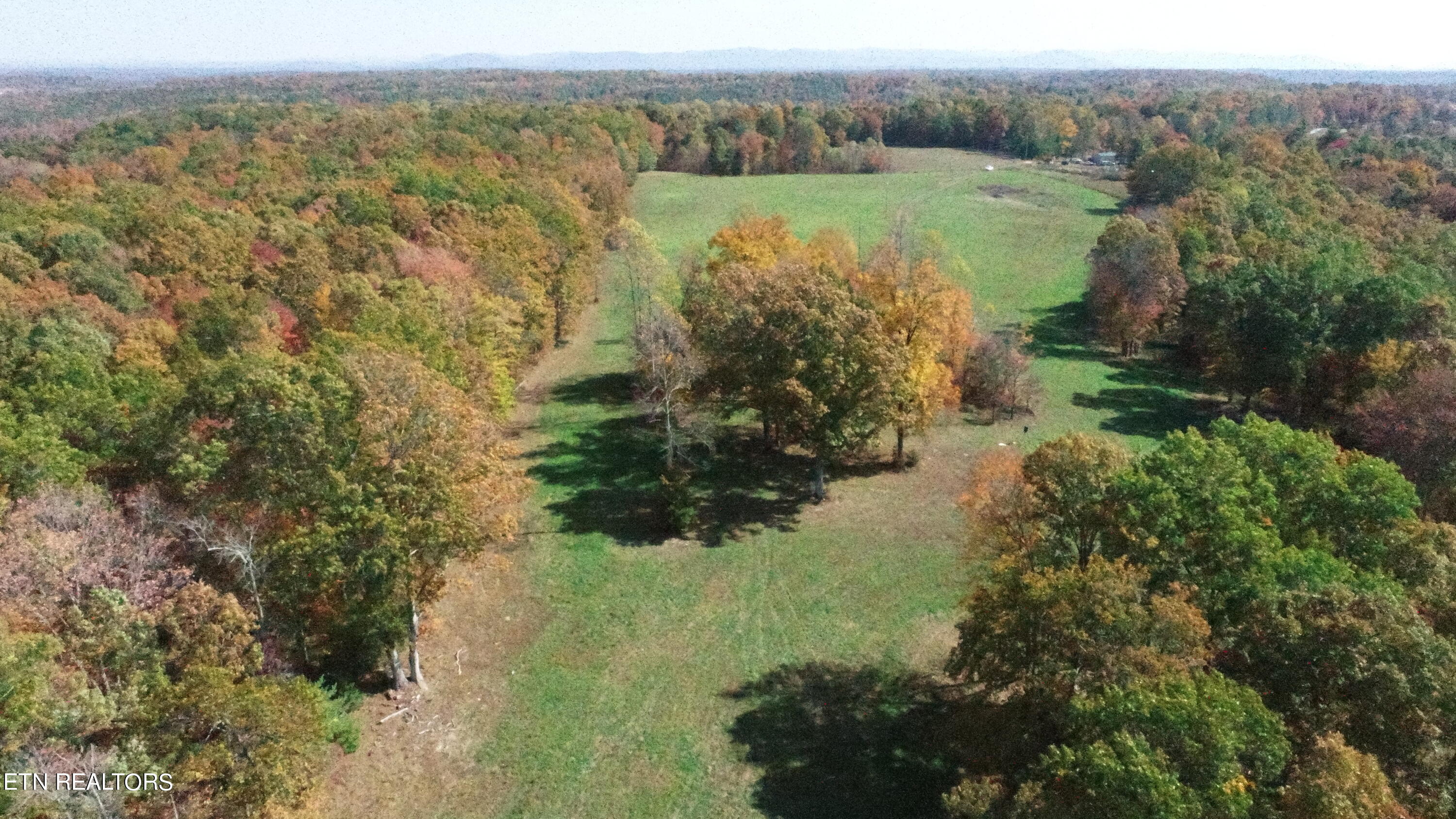 Sam Morgan Lane Property Photo 3