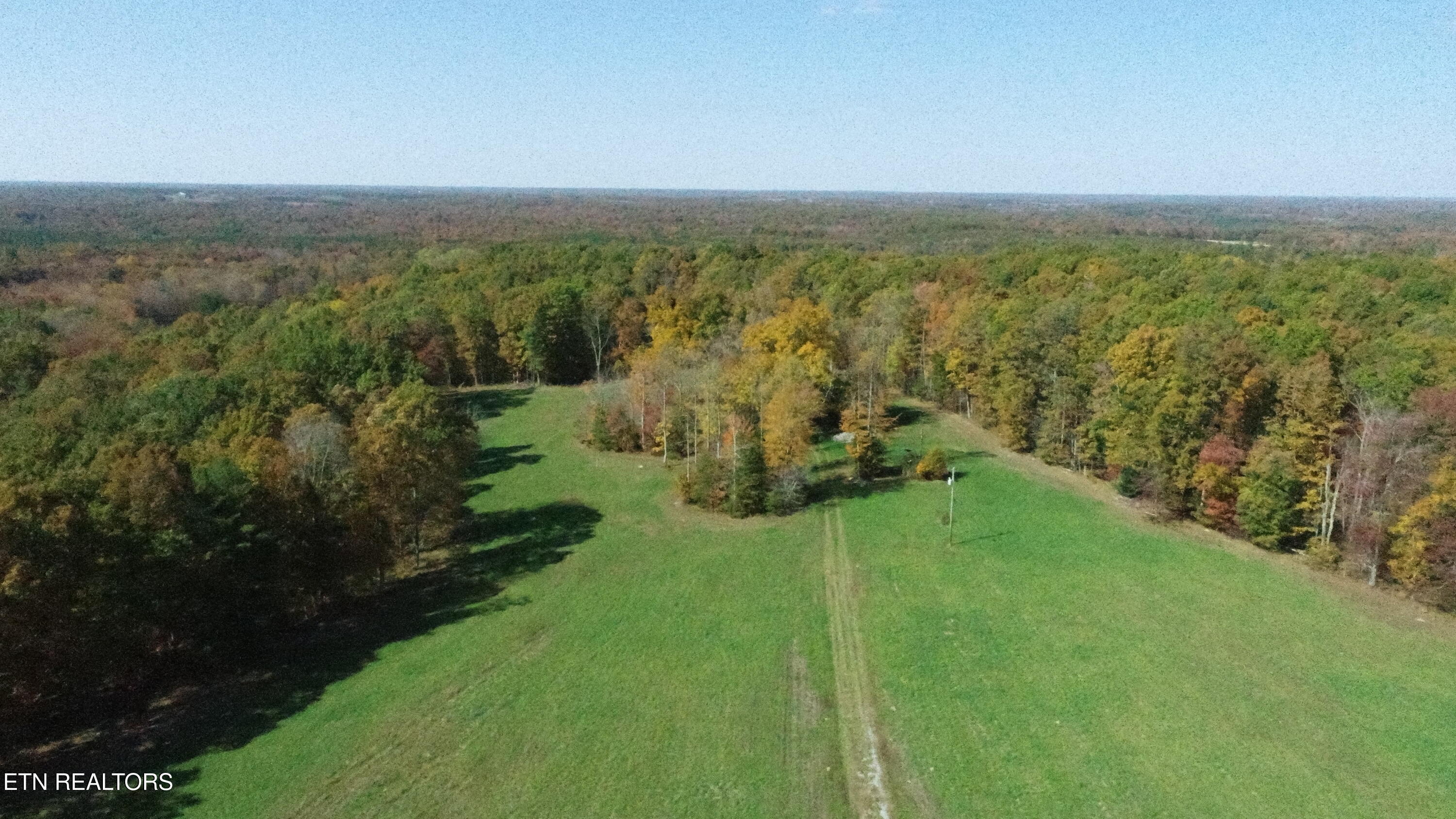 Sam Morgan Lane Property Photo 8