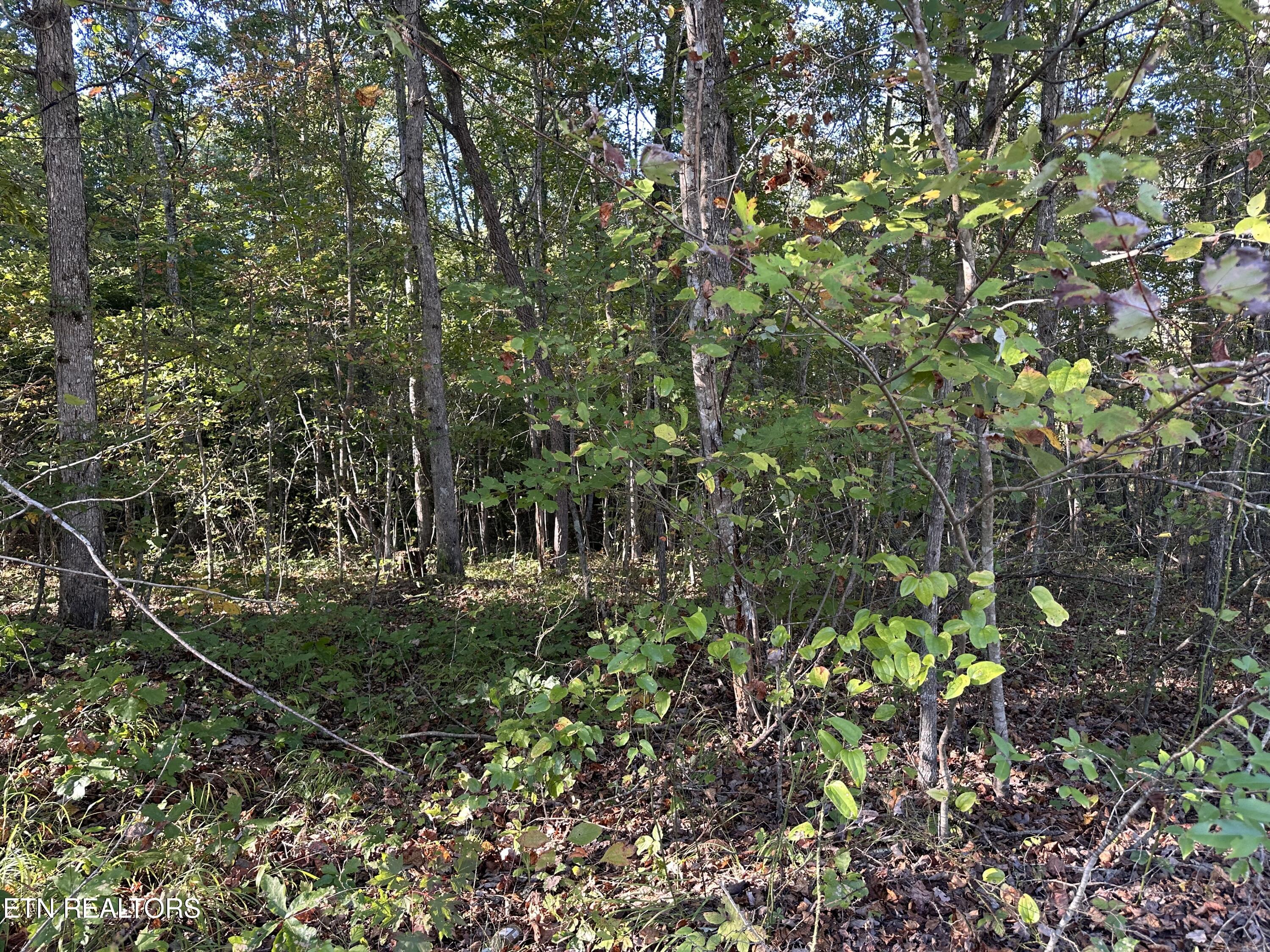 Falling Waters Property Photo 1
