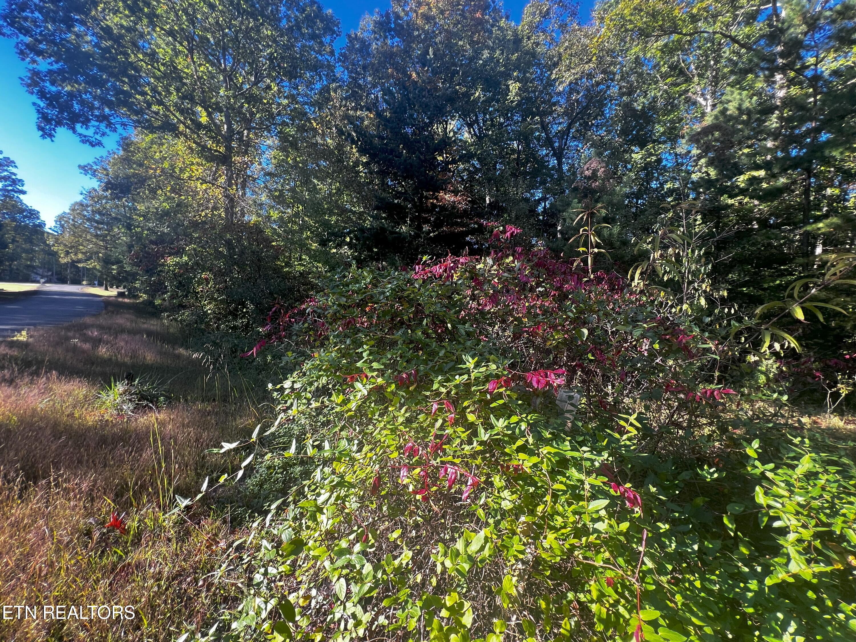 Falling Waters Property Photo 2
