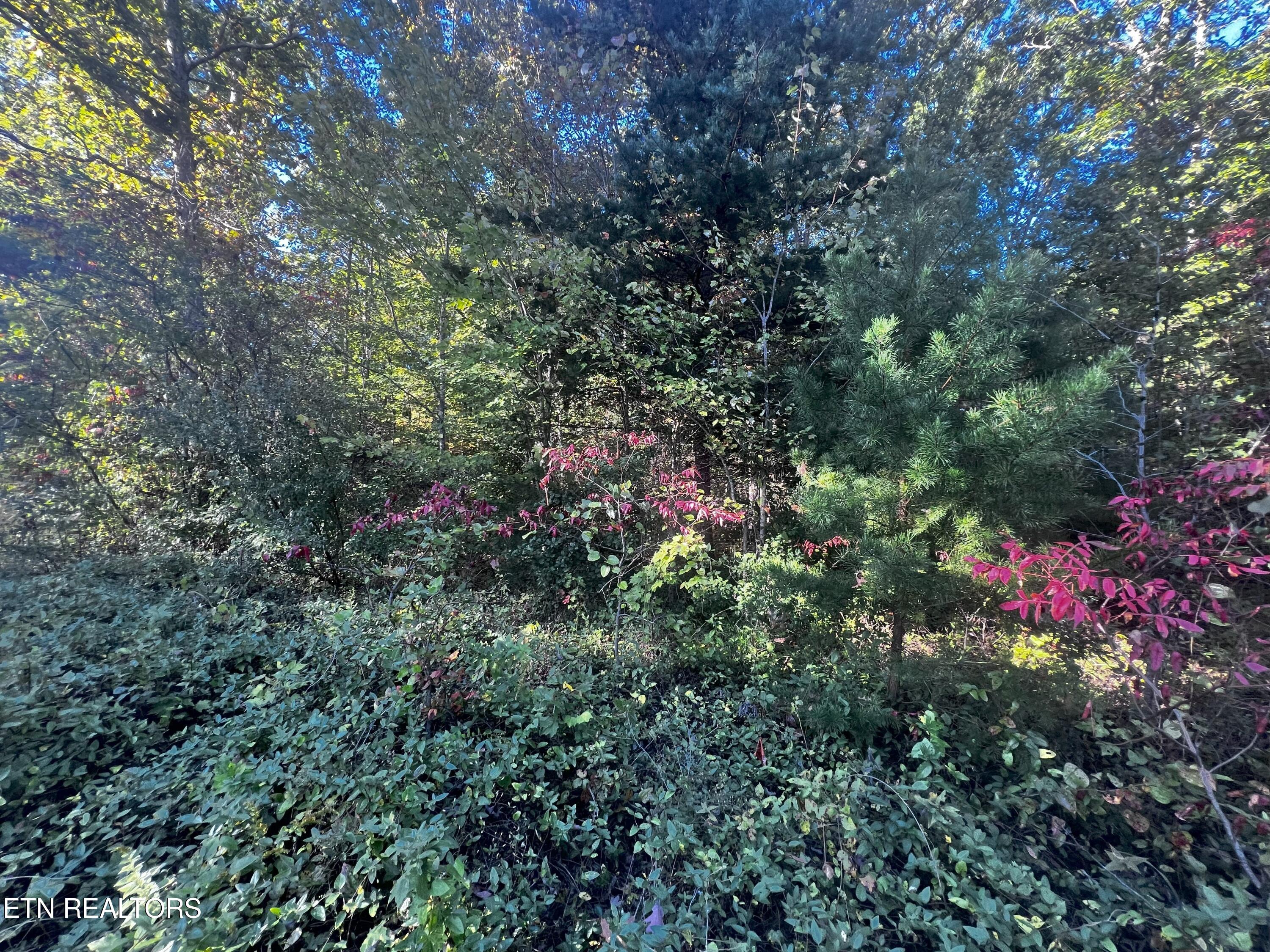 Falling Waters Property Photo 3