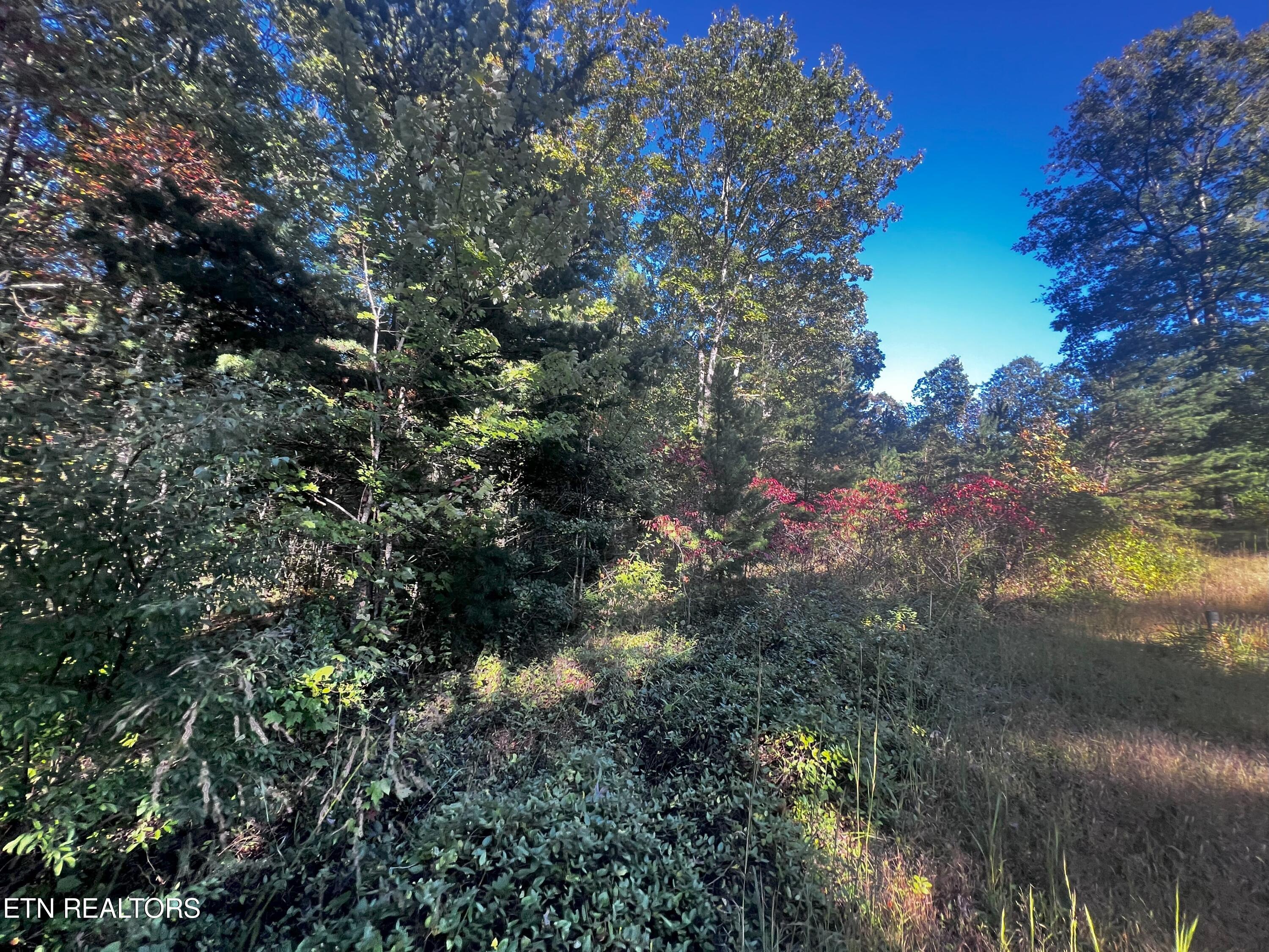 Falling Waters Property Photo 4