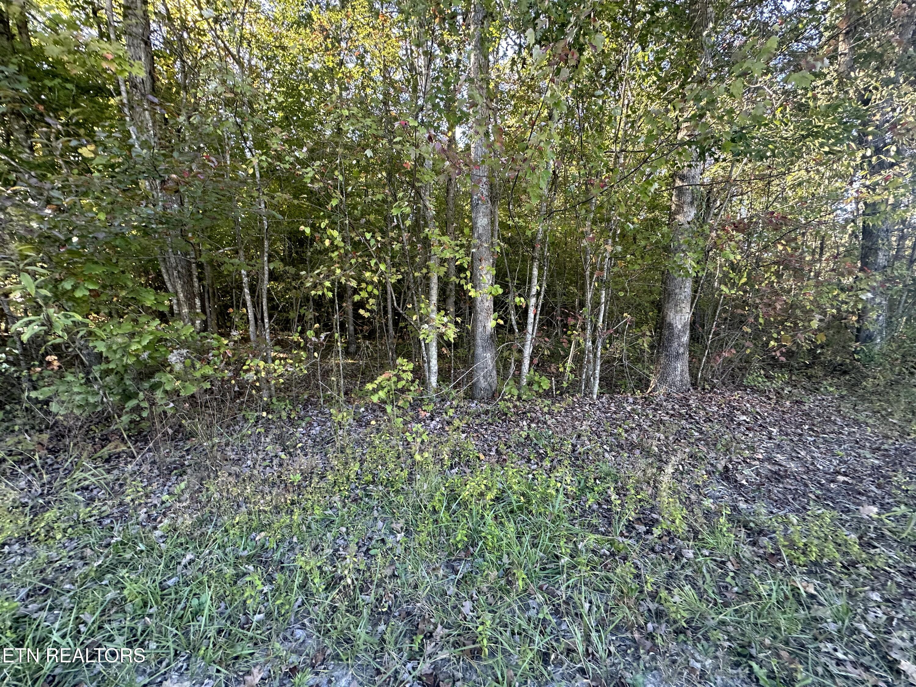 Falling Waters Property Photo 6