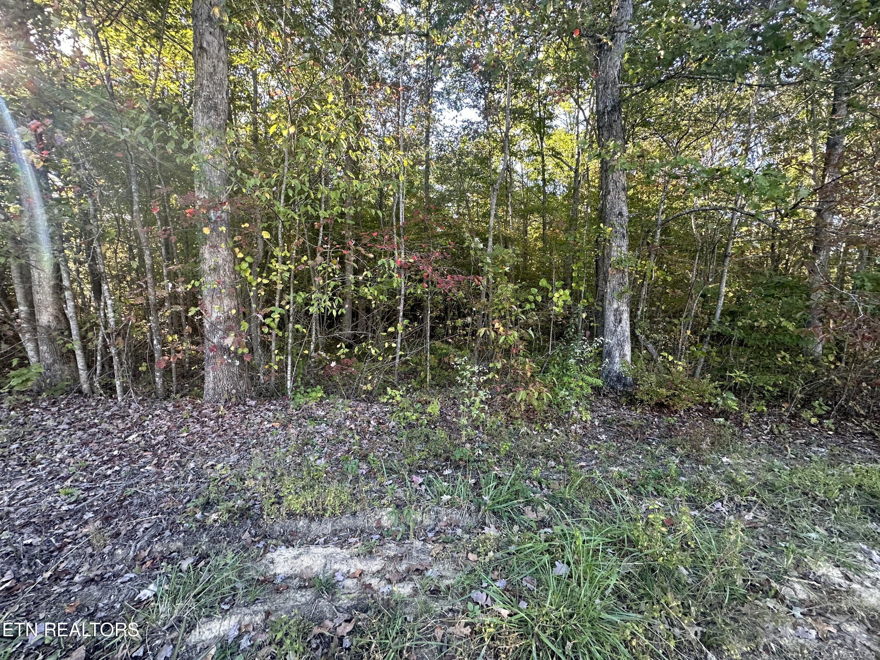 Falling Waters Property Photo 7