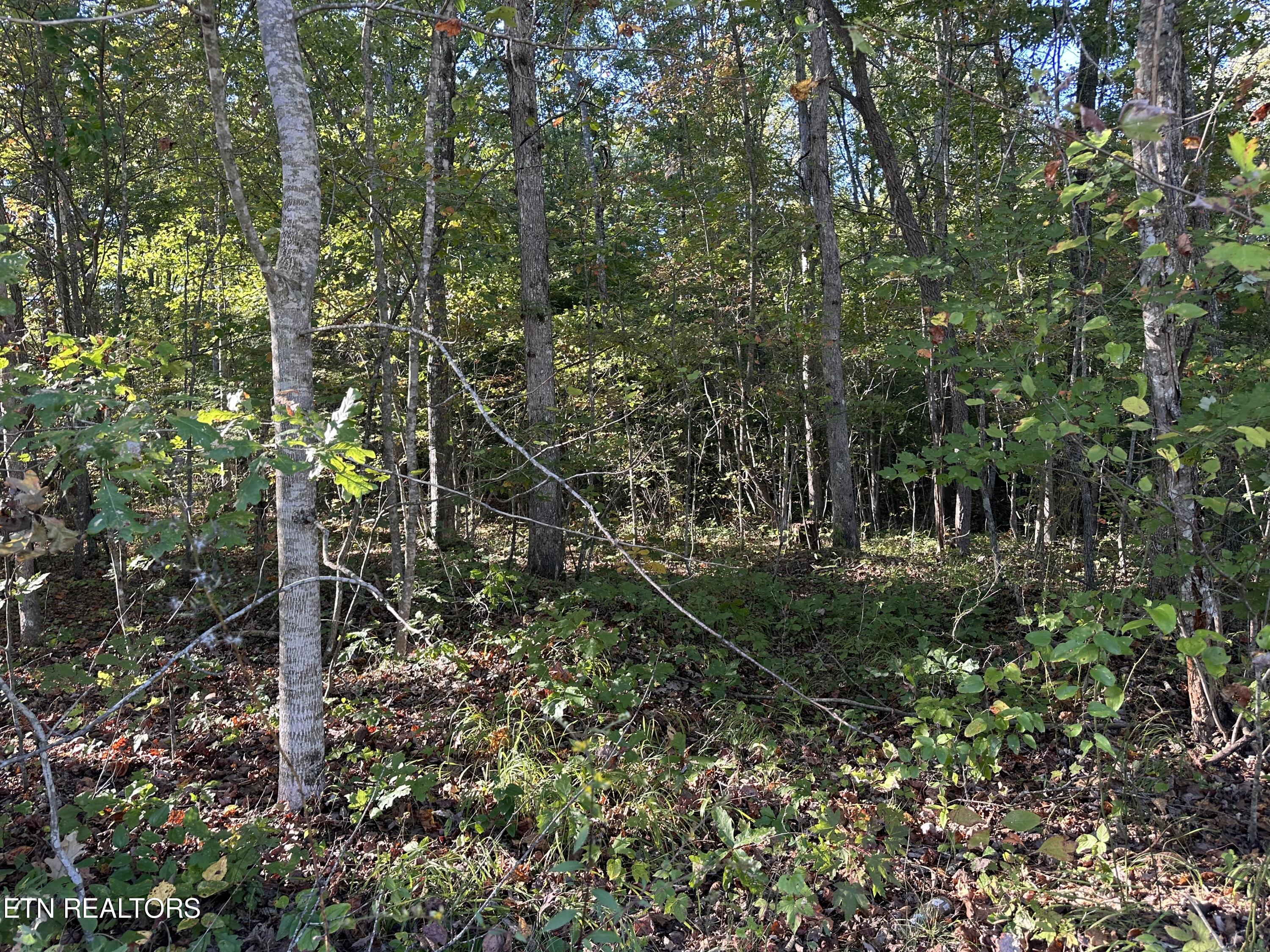 Falling Waters Property Photo 9