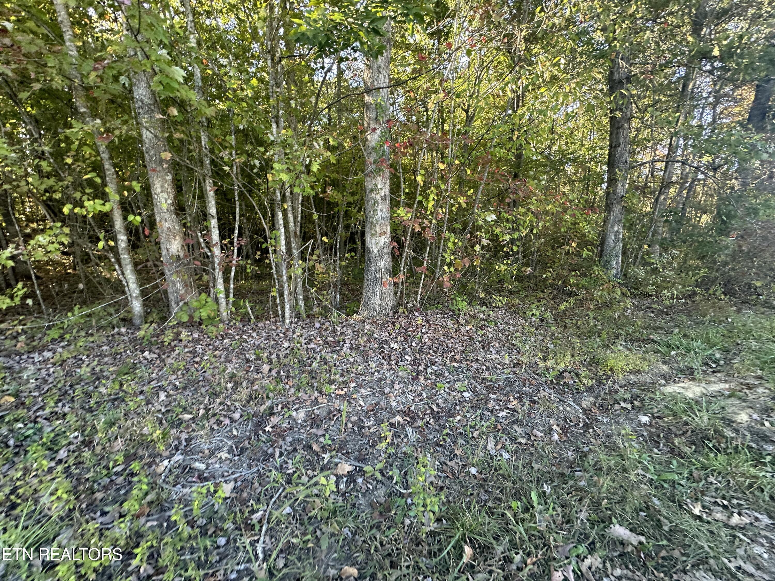 Falling Waters Property Photo 11