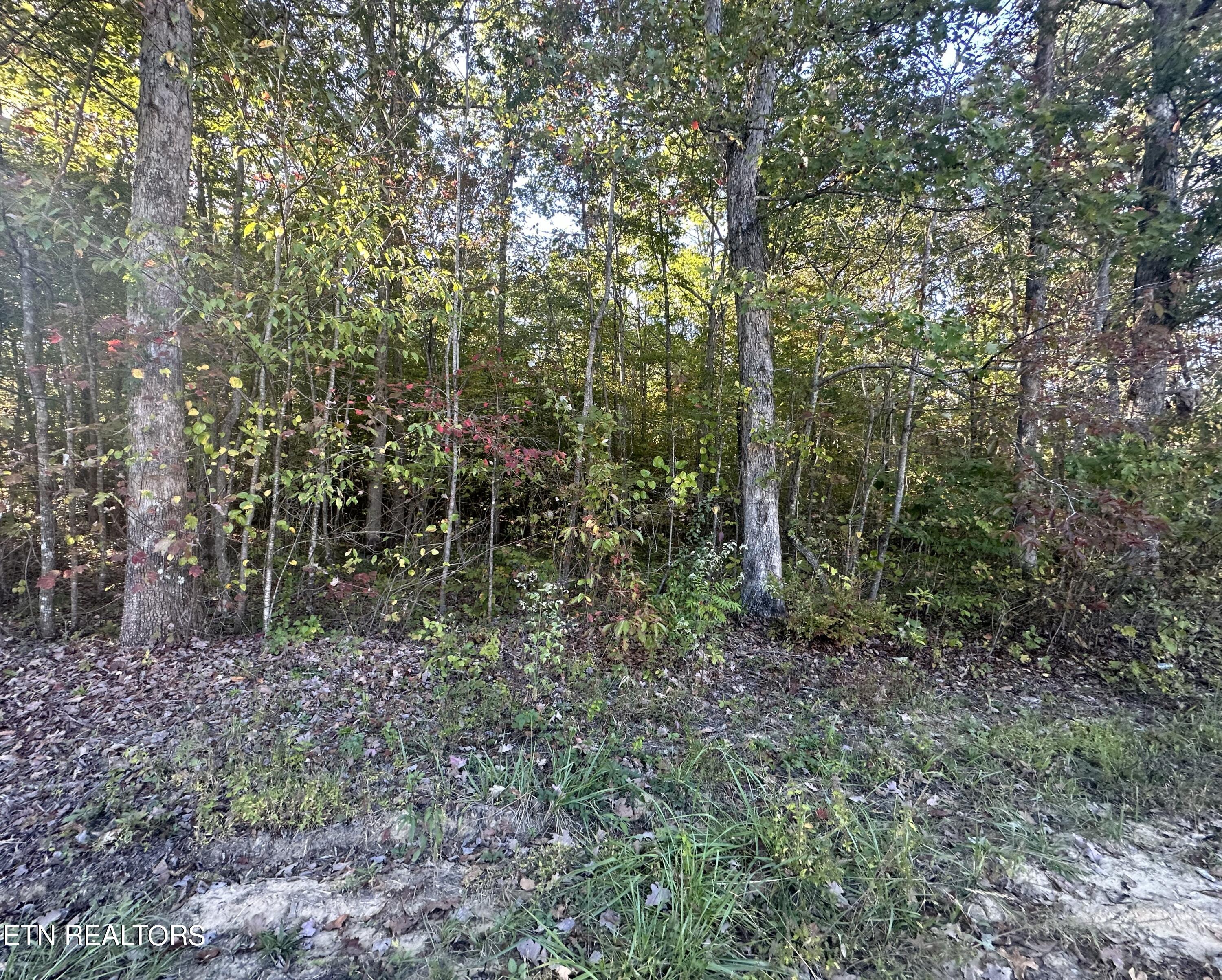 Falling Waters Property Photo 12