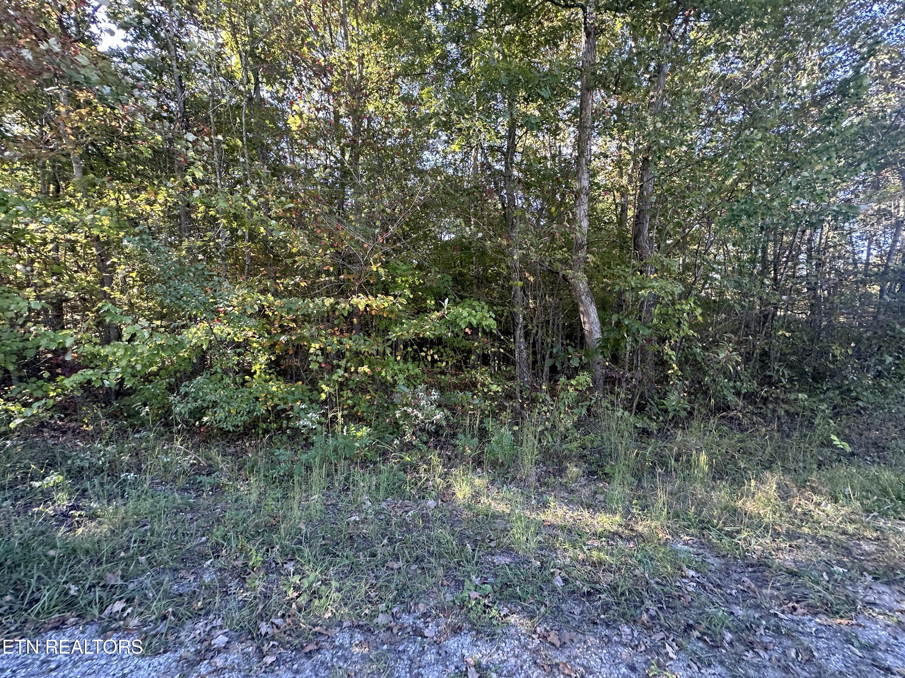 Falling Waters Property Photo 13