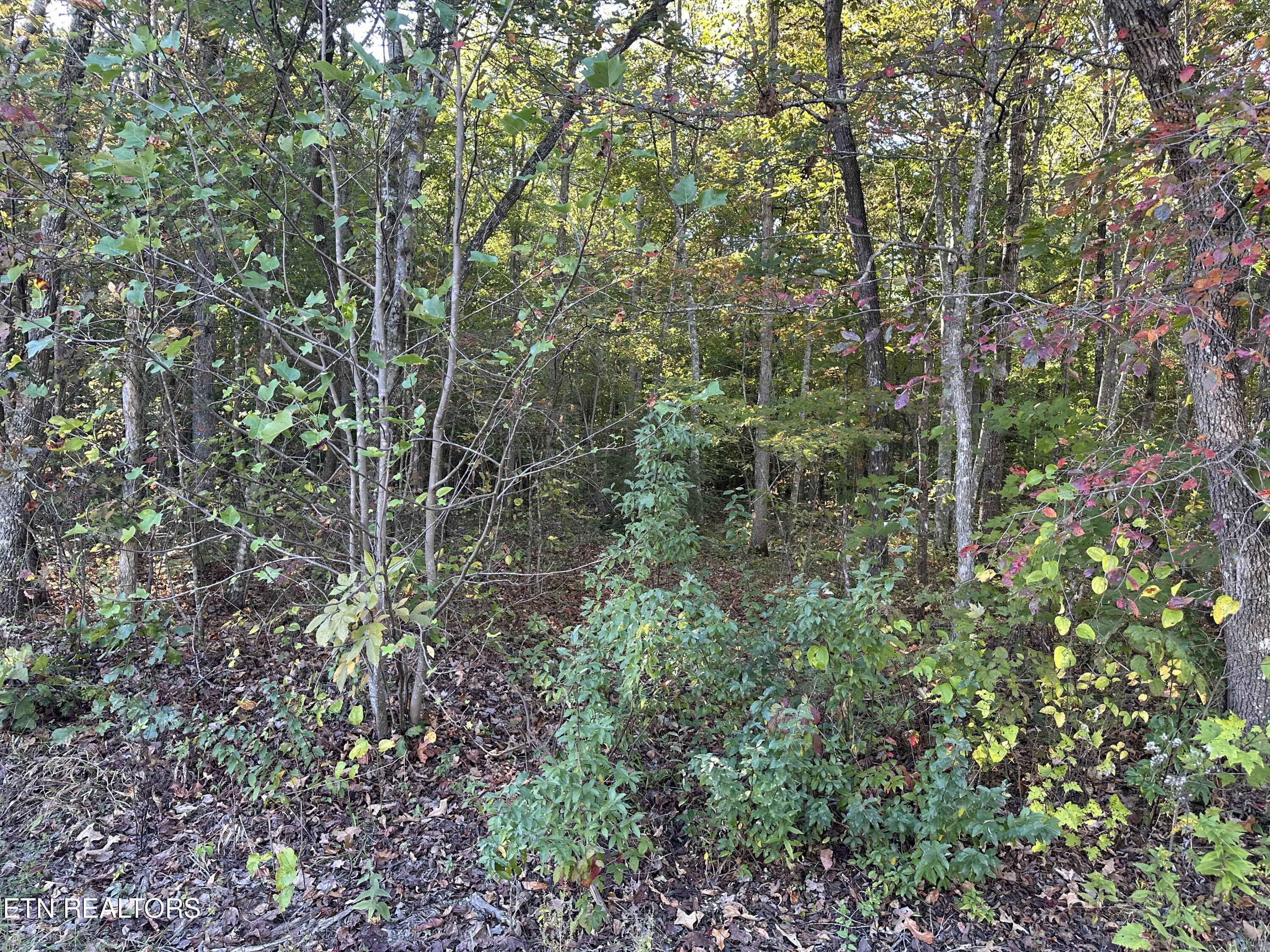 Falling Waters Property Photo 14