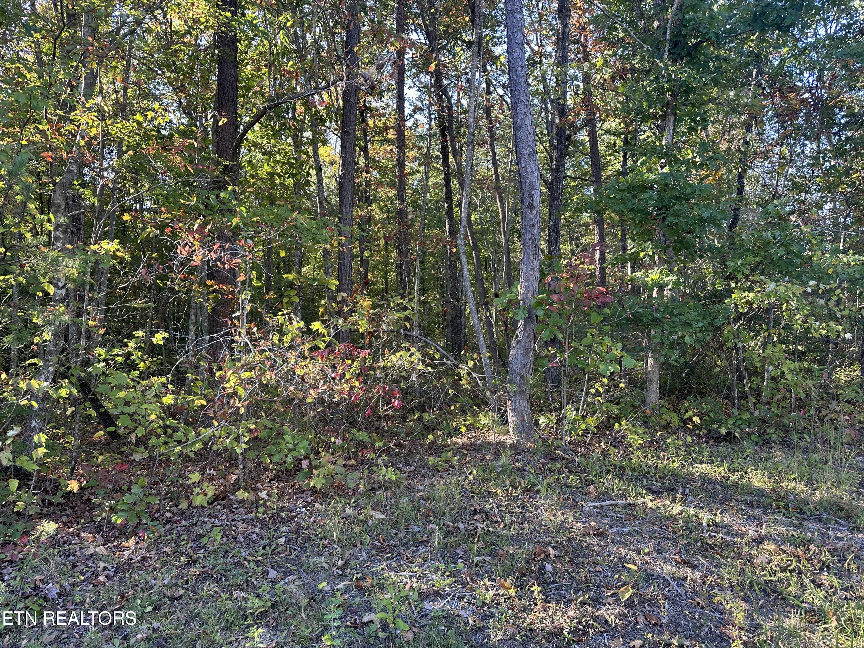 Falling Waters Property Photo 16