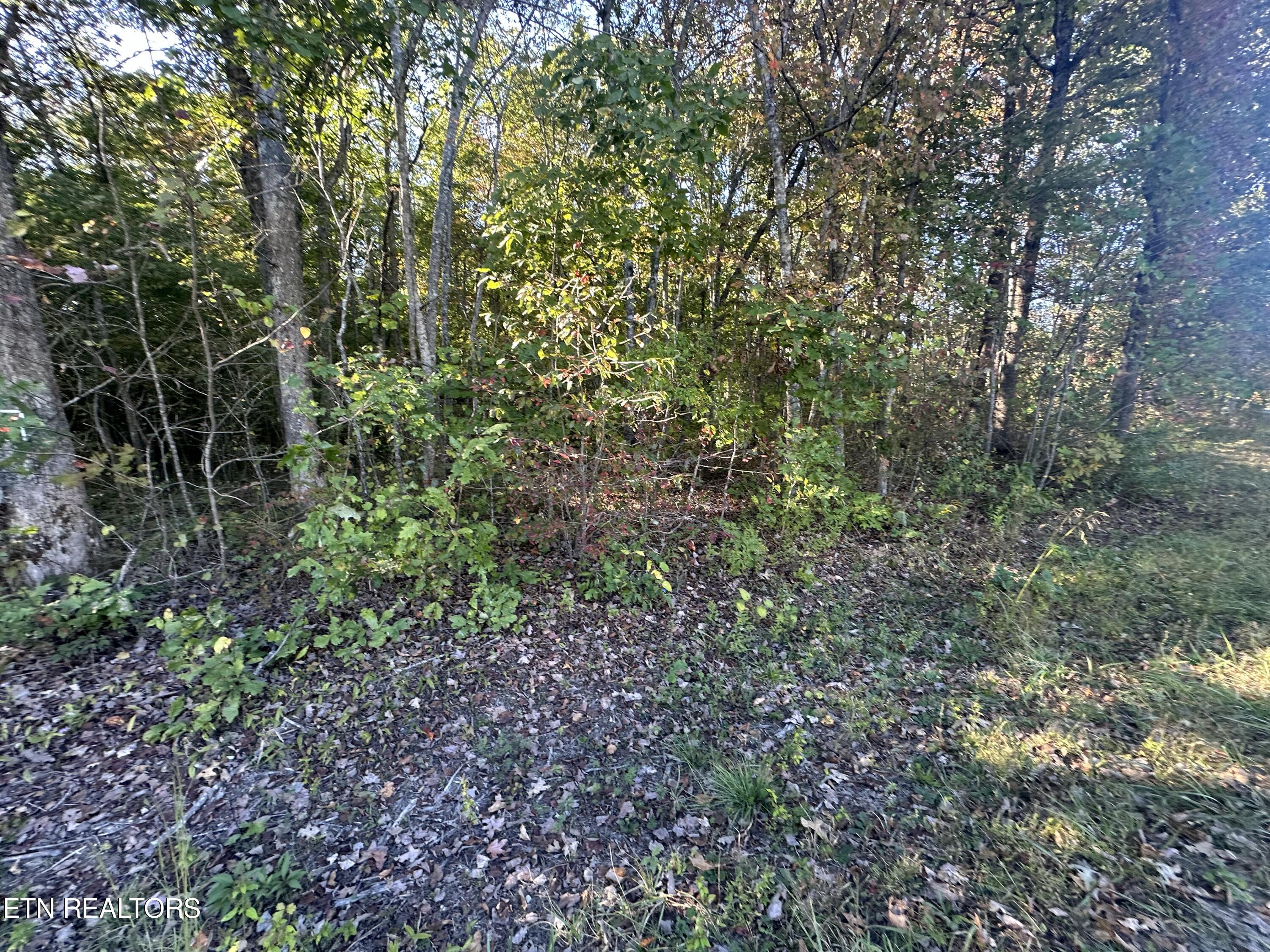 Falling Waters Property Photo 17