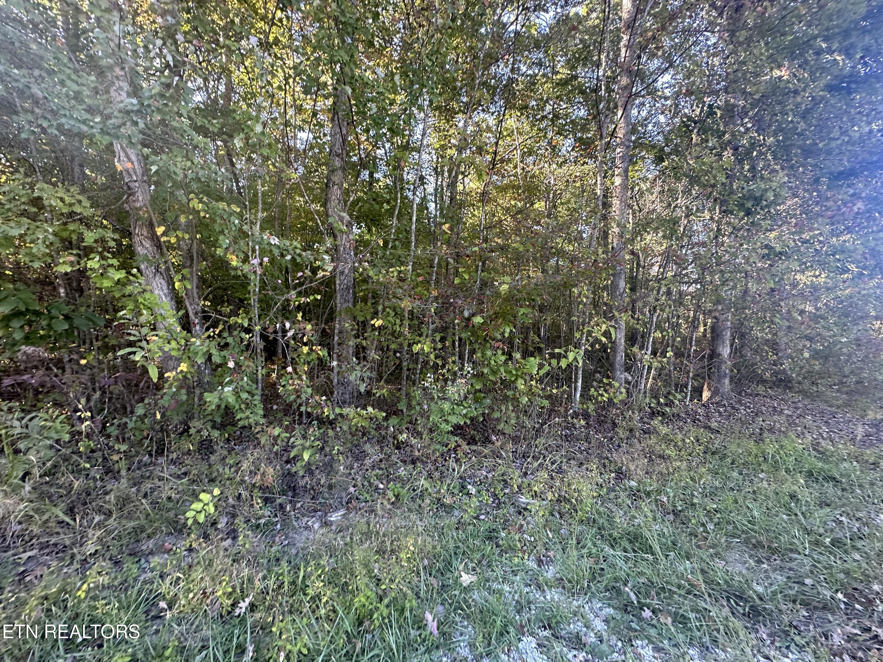 Falling Waters Property Photo 18